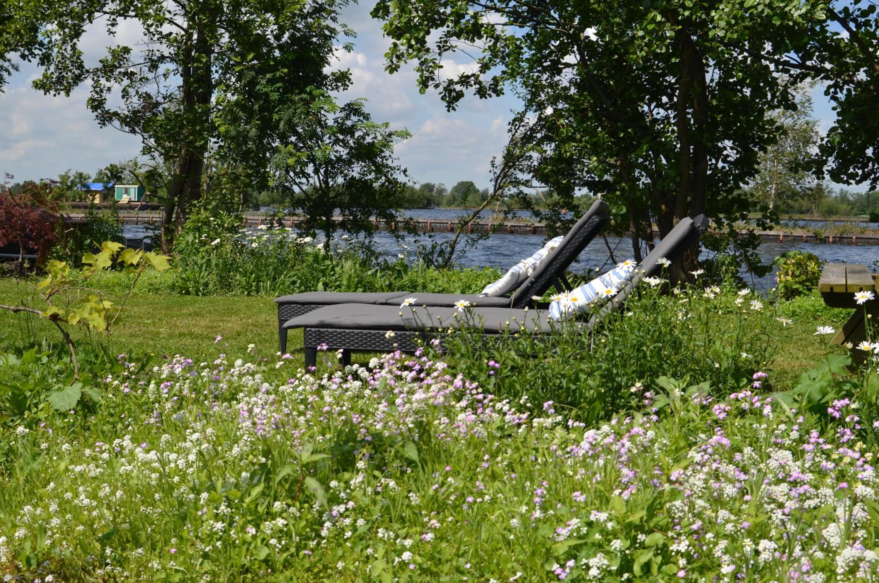 Luxury Experience in Off The Grid Lodge at an Amazing Lake Vinkeveense Plassen
