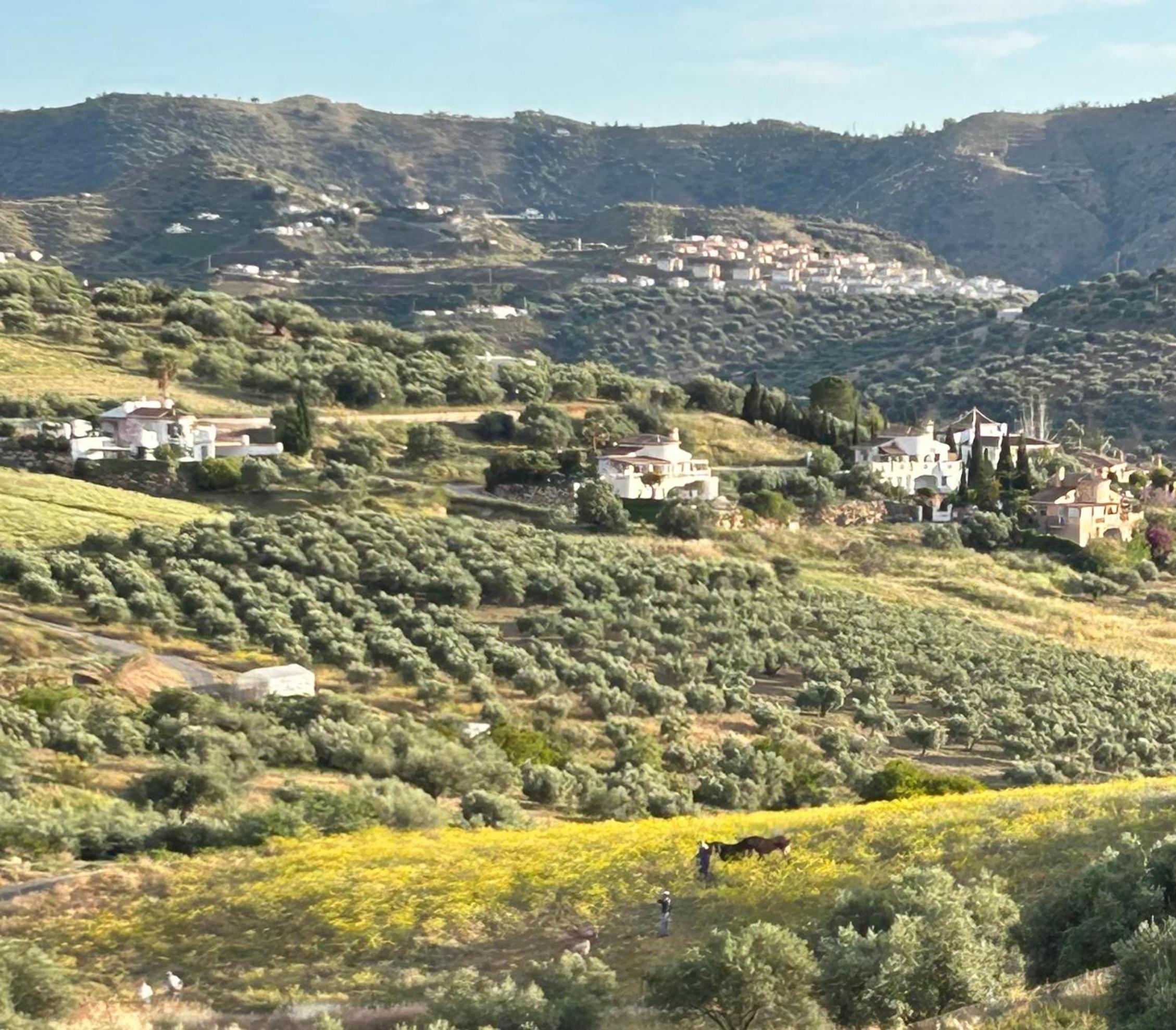 Casa Emiliana
