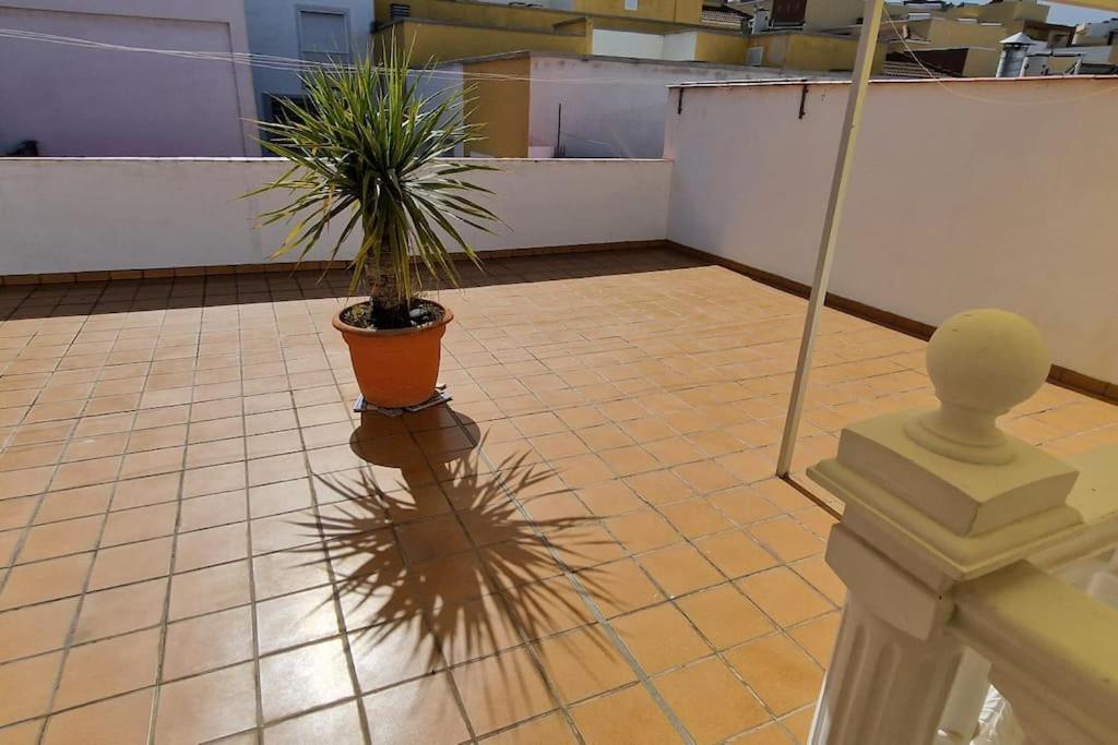 Canarian House La Florida, Orotava
