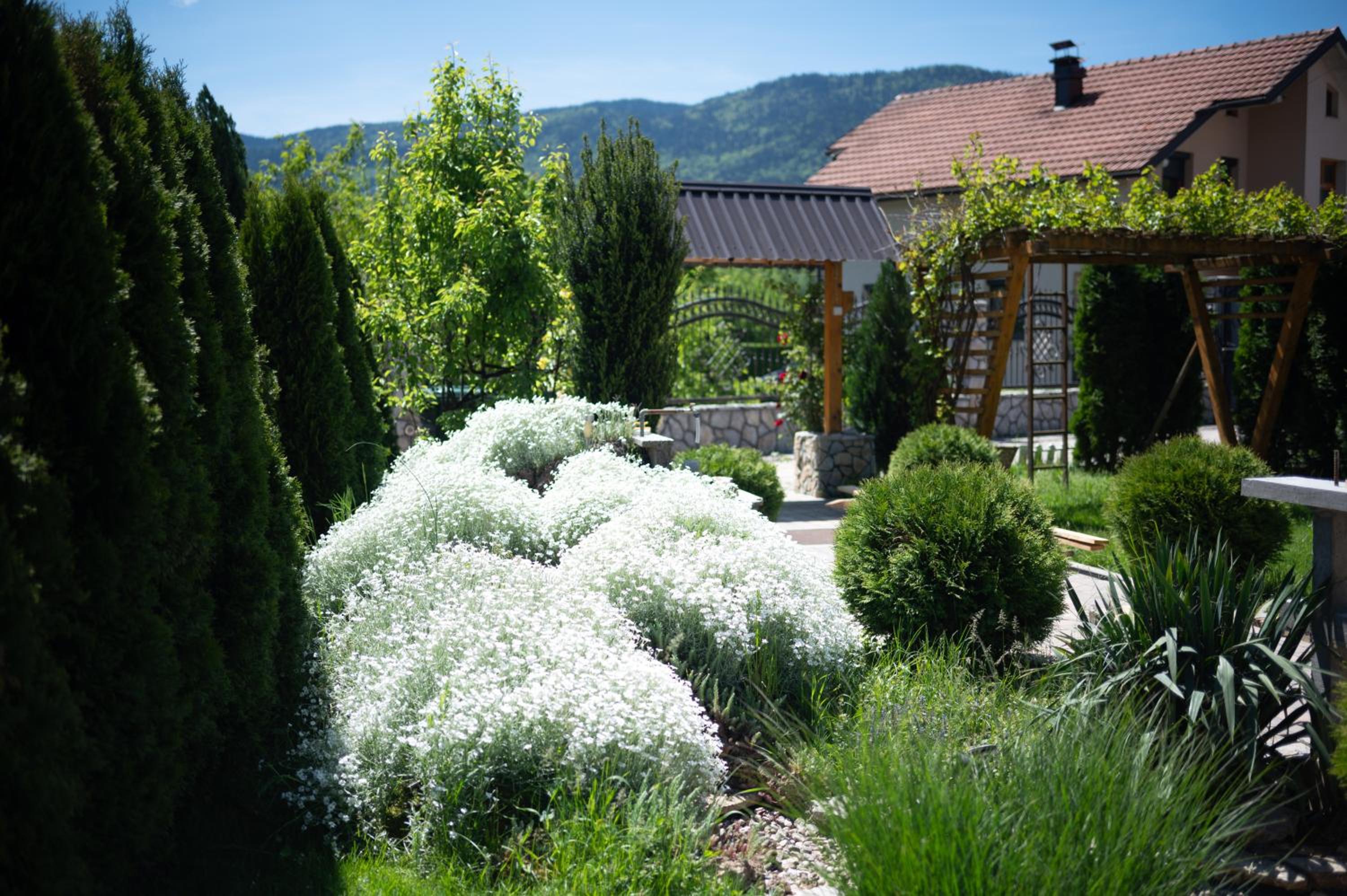 Villa Medina view 3