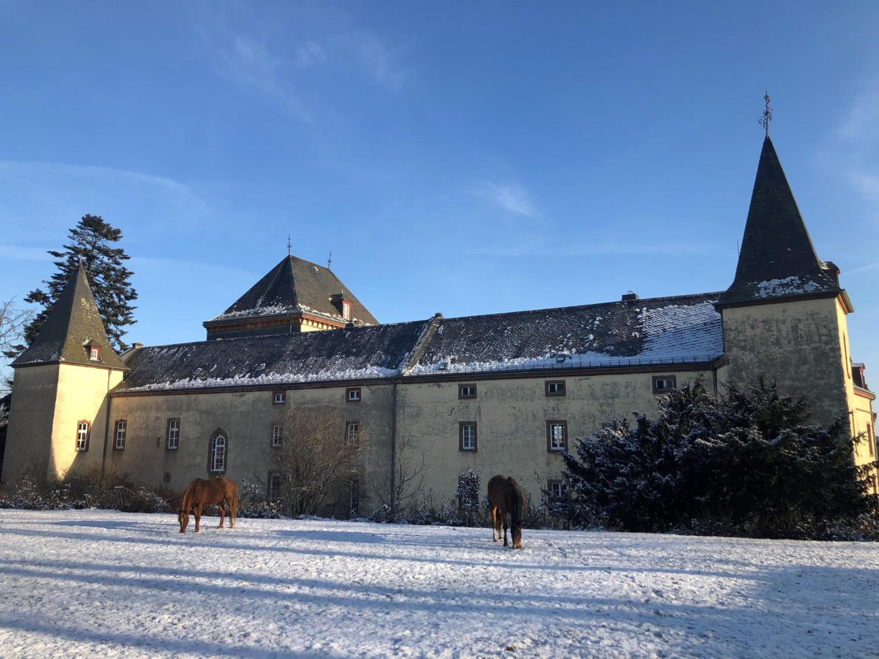 L' Extravagante im Garten von Schloss Schmidtheim