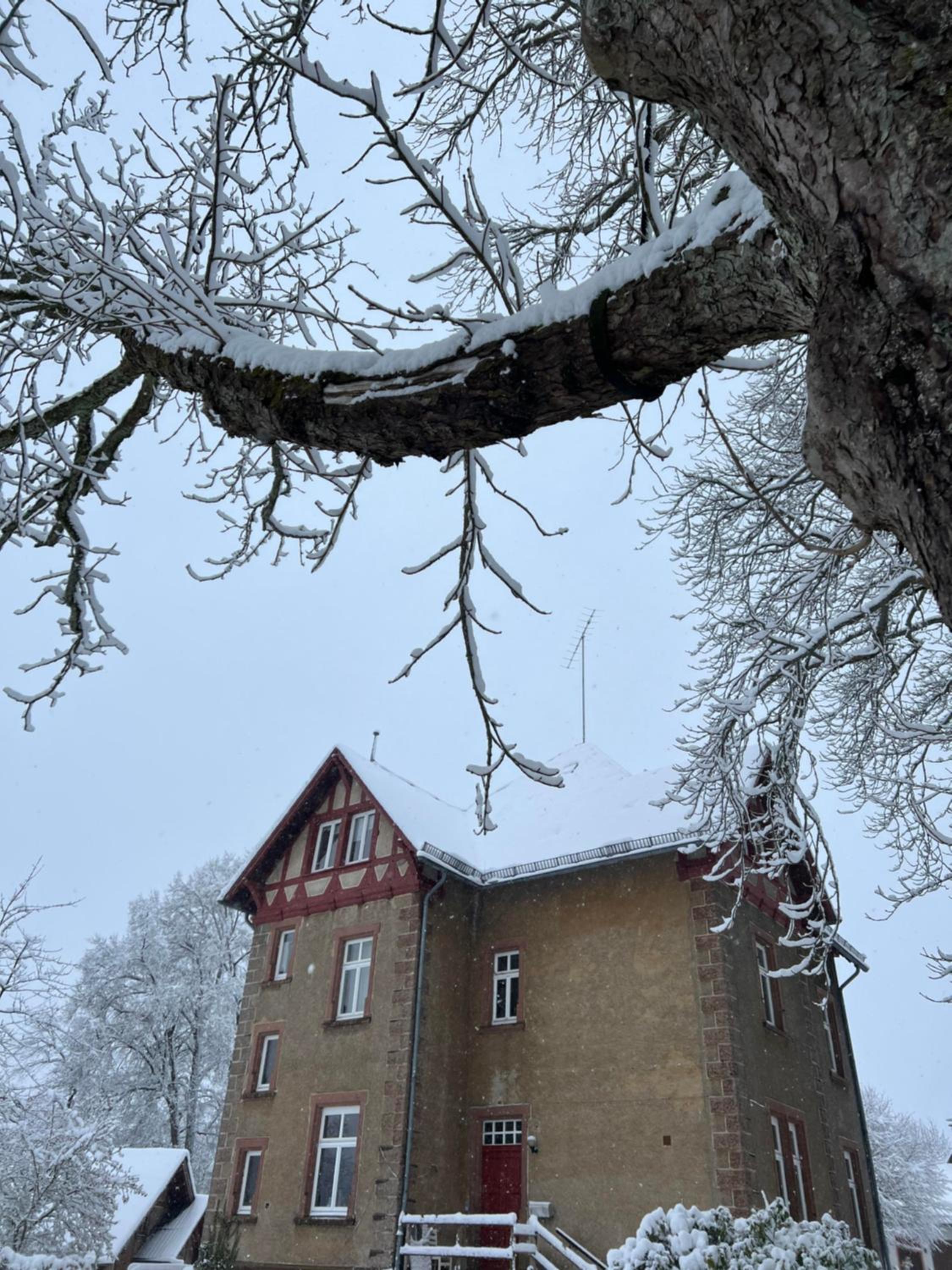 L' Extravagante im Garten von Schloss Schmidtheim
