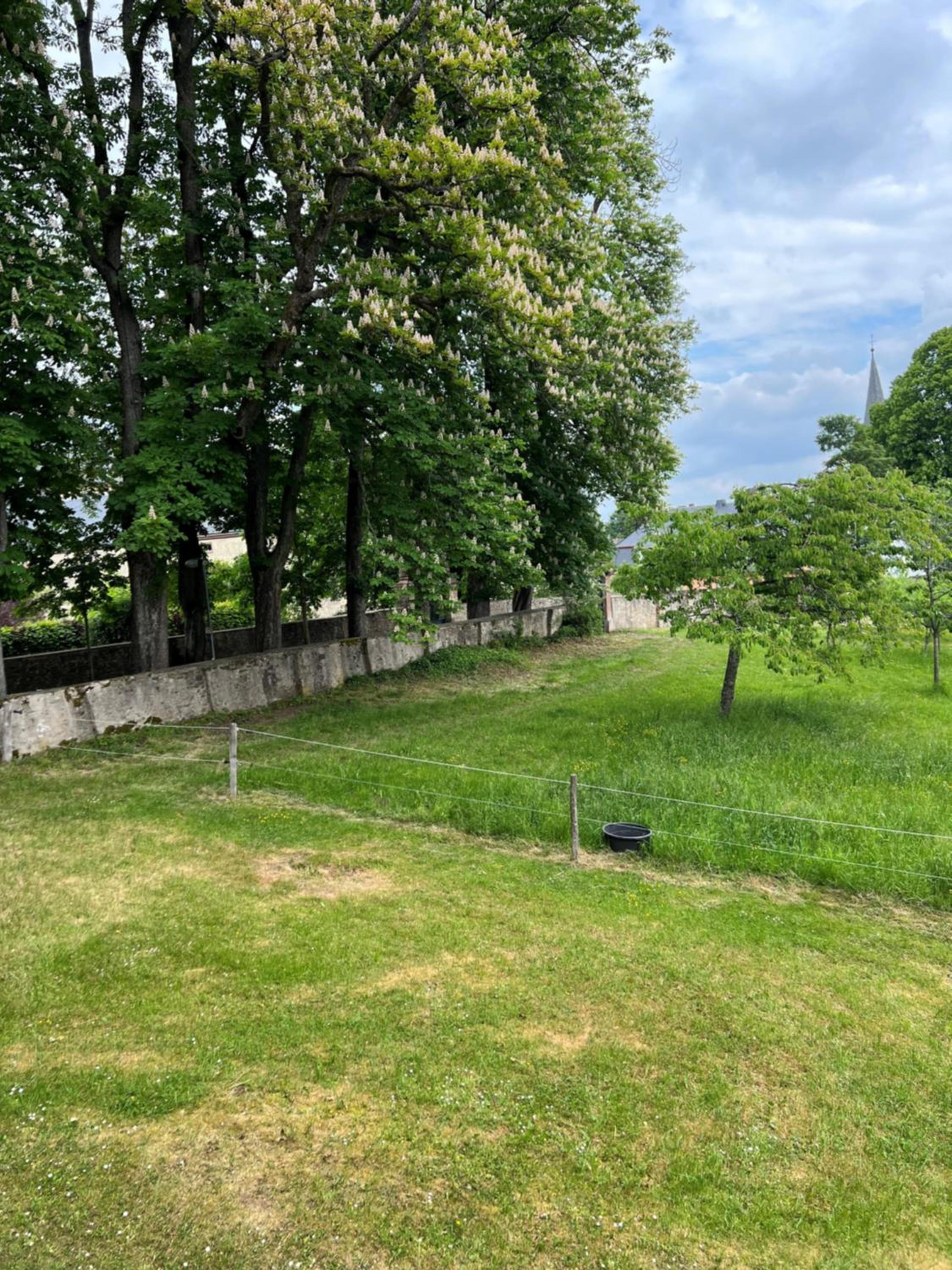 L' Extravagante im Garten von Schloss Schmidtheim