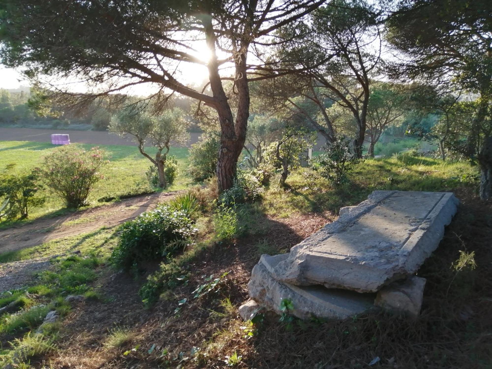 La Barraca de Farena