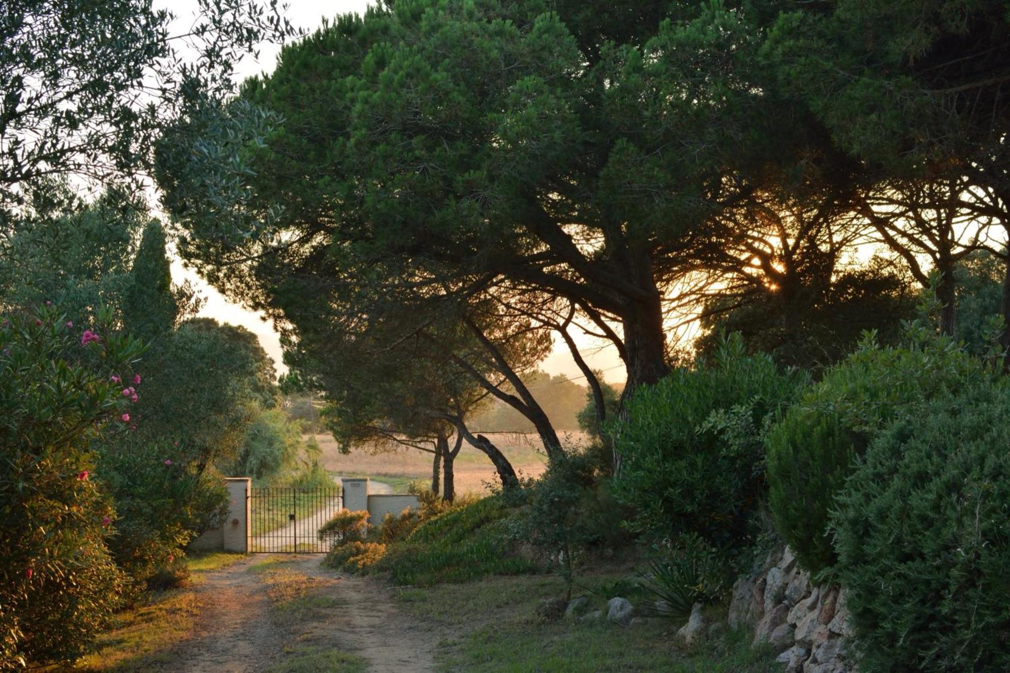 La Barraca de Farena