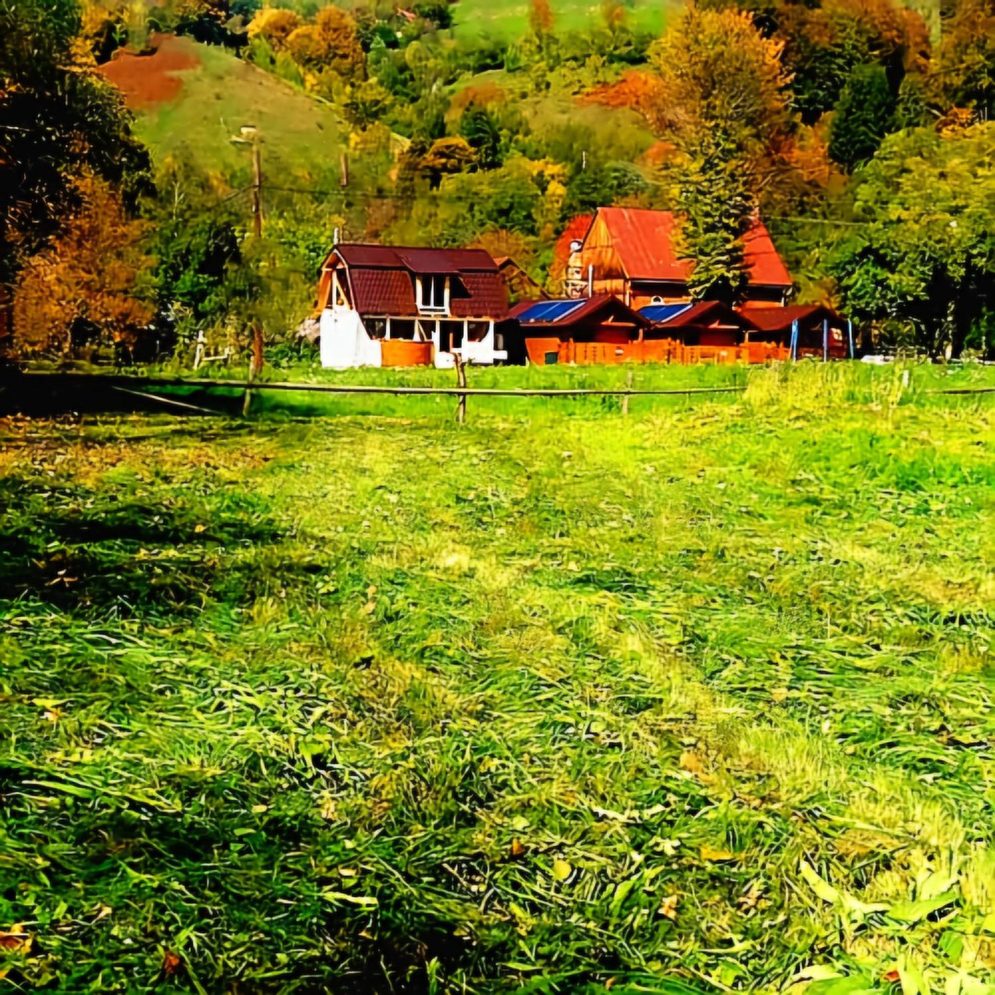 Căsuțele Camping AliMar view 5