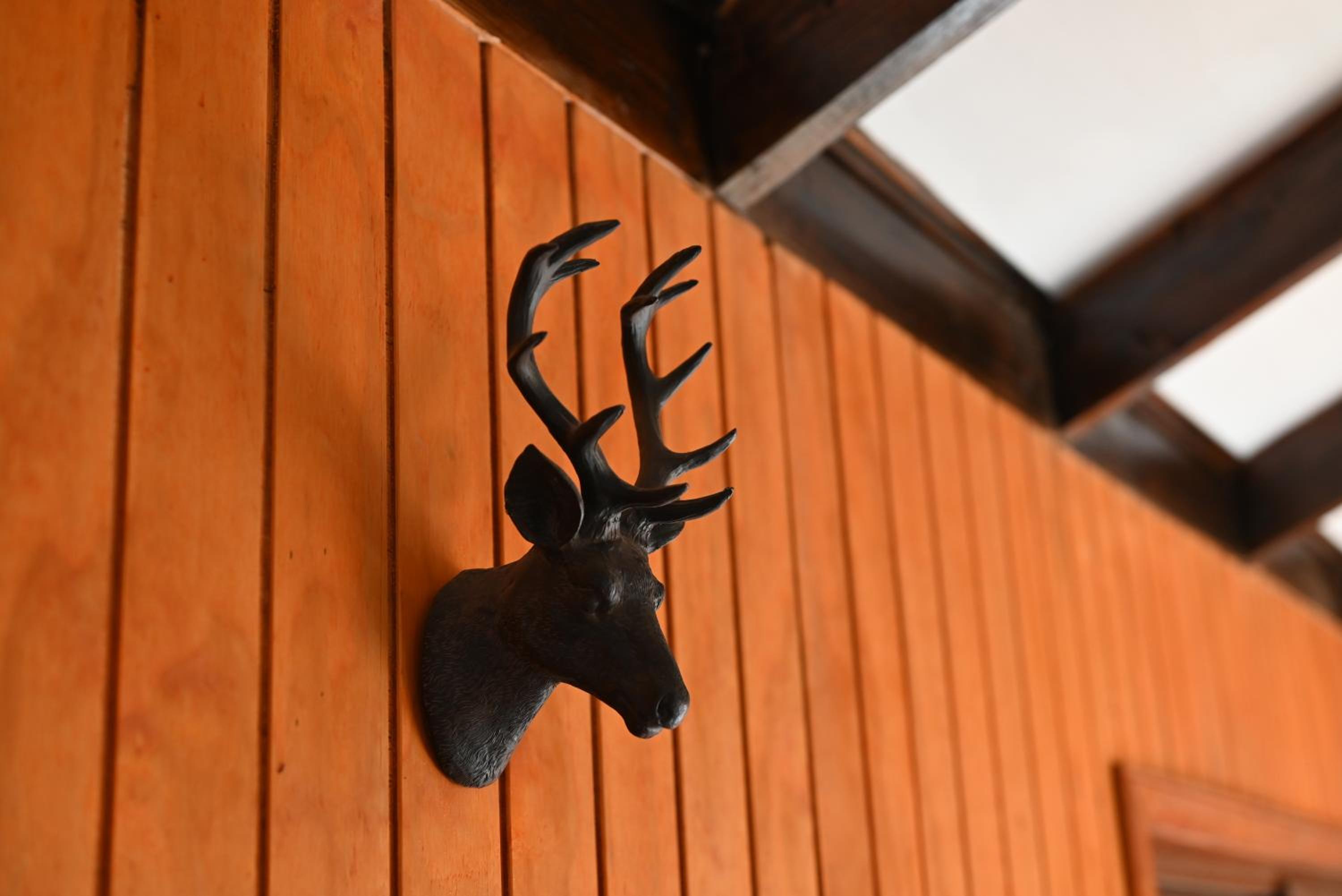 EcoHouse Lodge Lonquimay