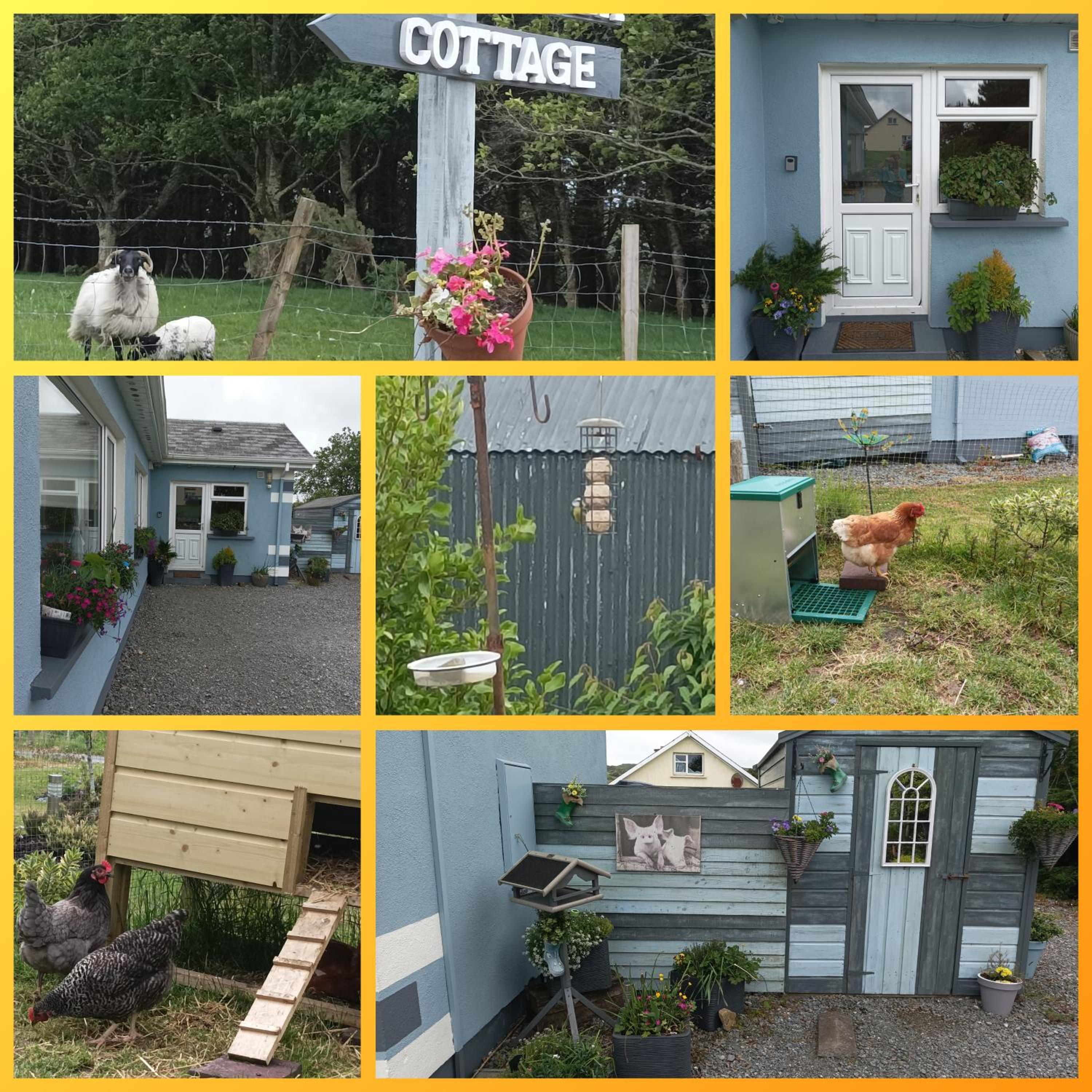 Clifden Wildflower Cottage - Clifden Countryside Lettings view 5