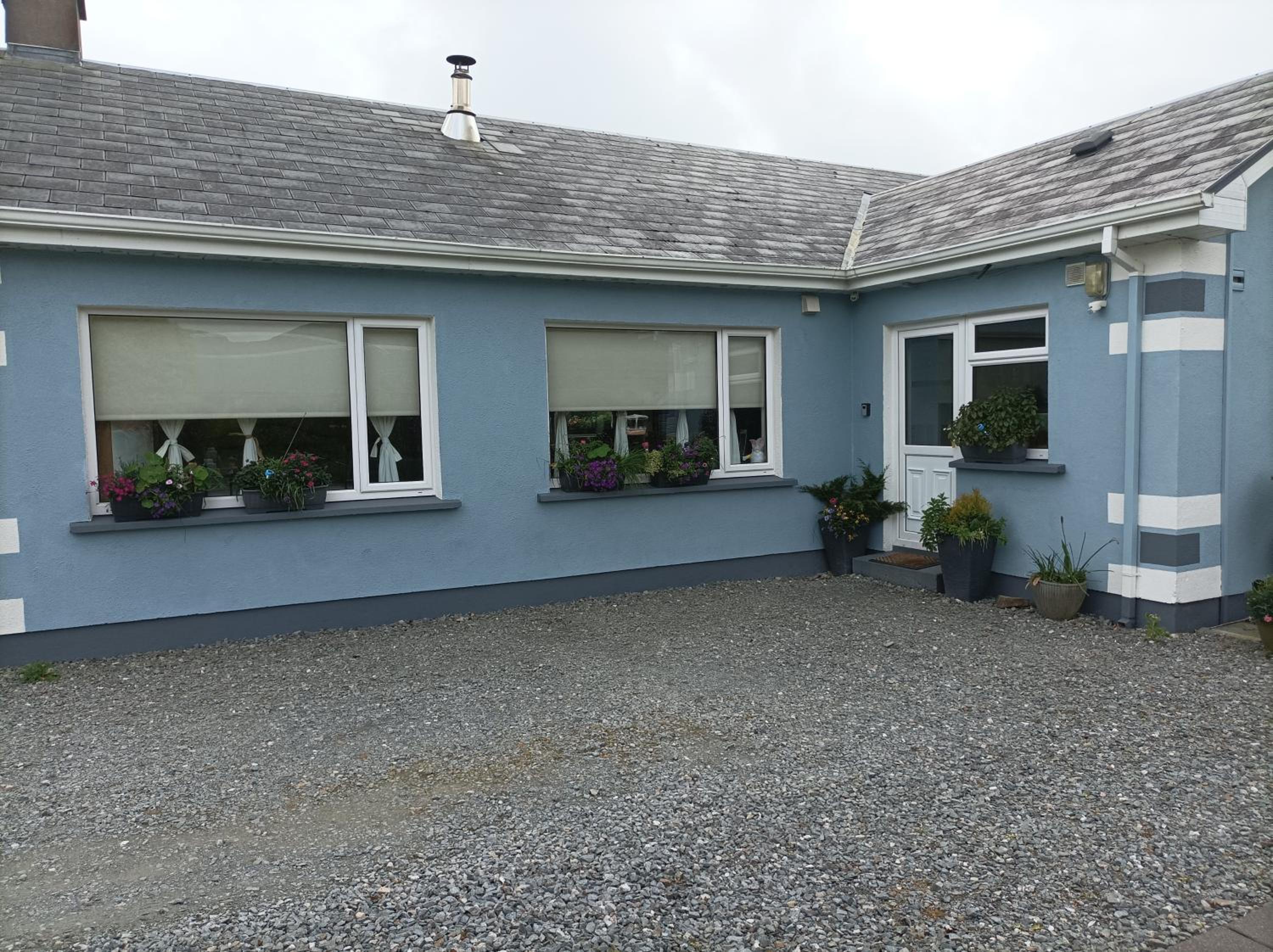 Clifden Wildflower Cottage - Clifden Countryside Lettings view 4