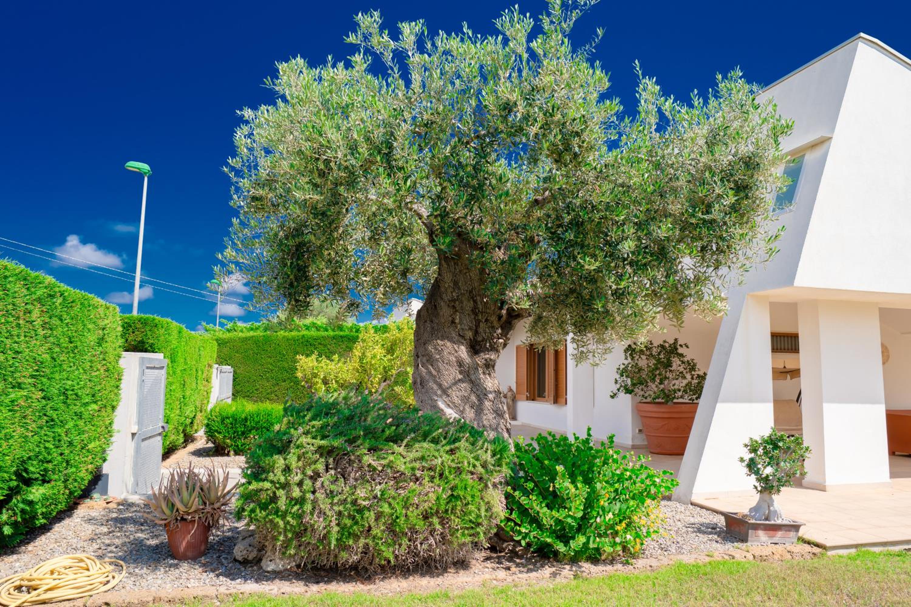 Villa Rosa - Holiday Home view 2