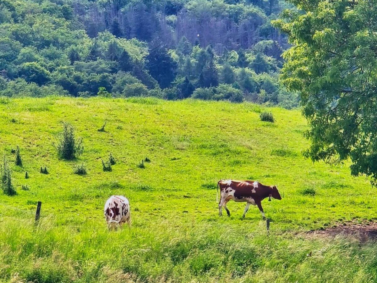 Chalet Happy Cow - Top Lage nähe Bodensee, Rheinfall, Schaffhausen & Zürich - Ländliche Idylle mit Privat-Parkplatz und viel Komfort - 120m2 - 3 Stockwerke