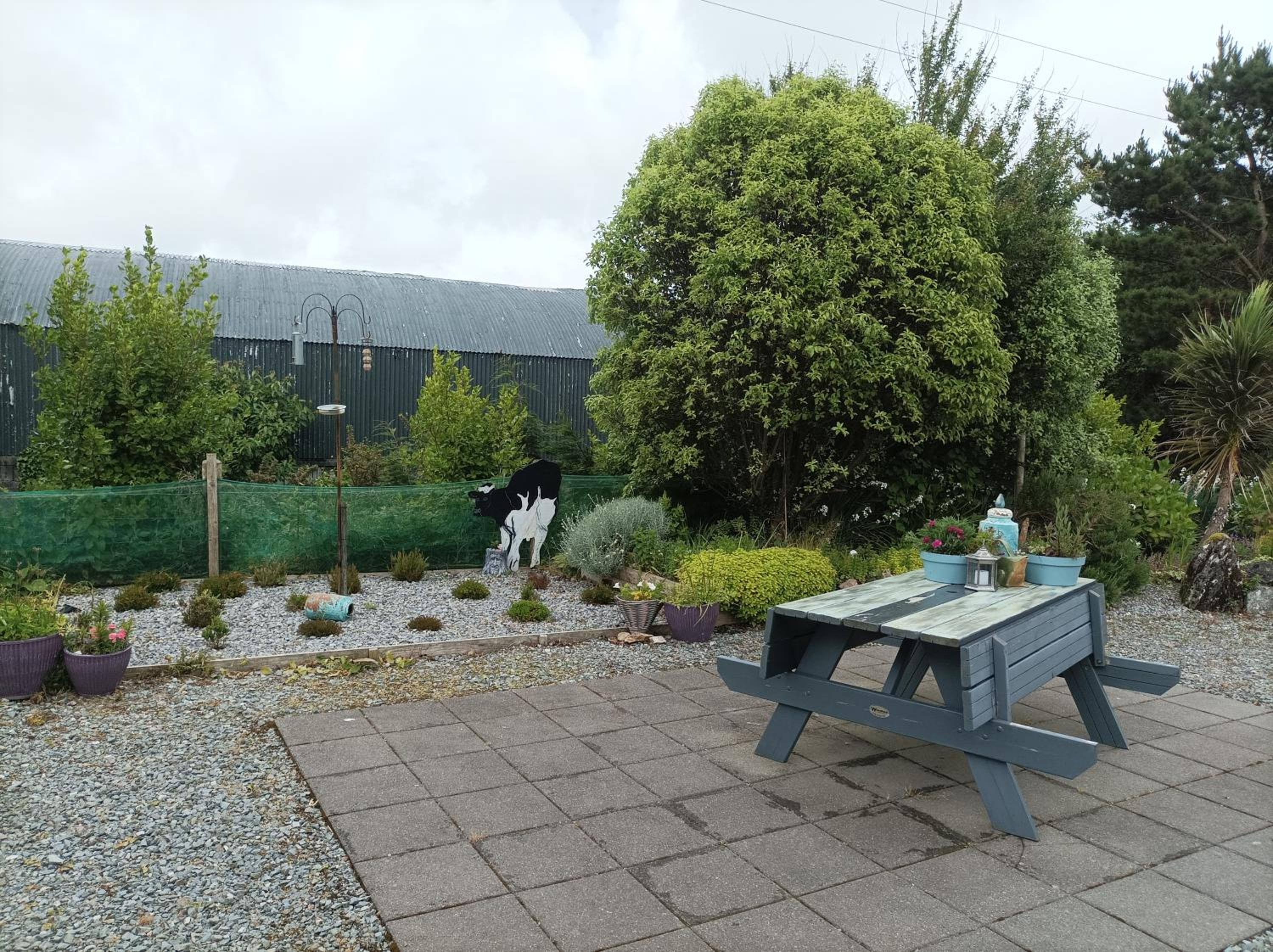 Clifden Wildflower Cottage - Clifden Countryside Lettings view 2