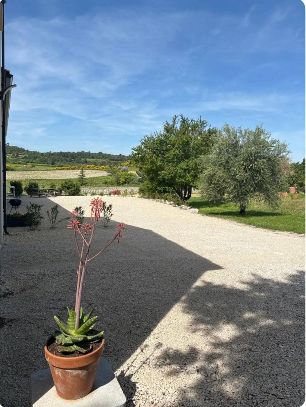 Appartement neuf Bédoin - Les Cinglés du Mont Ventoux