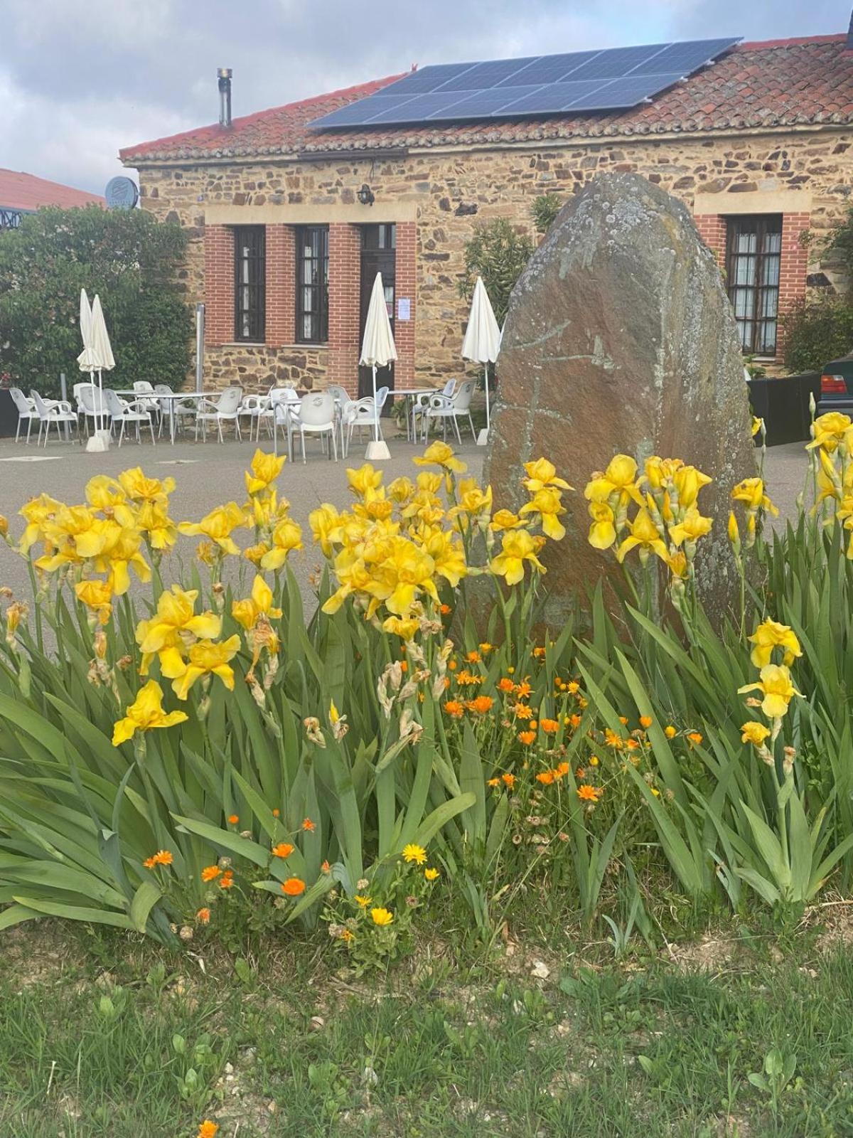 Casa Rural Molino Del Arriero