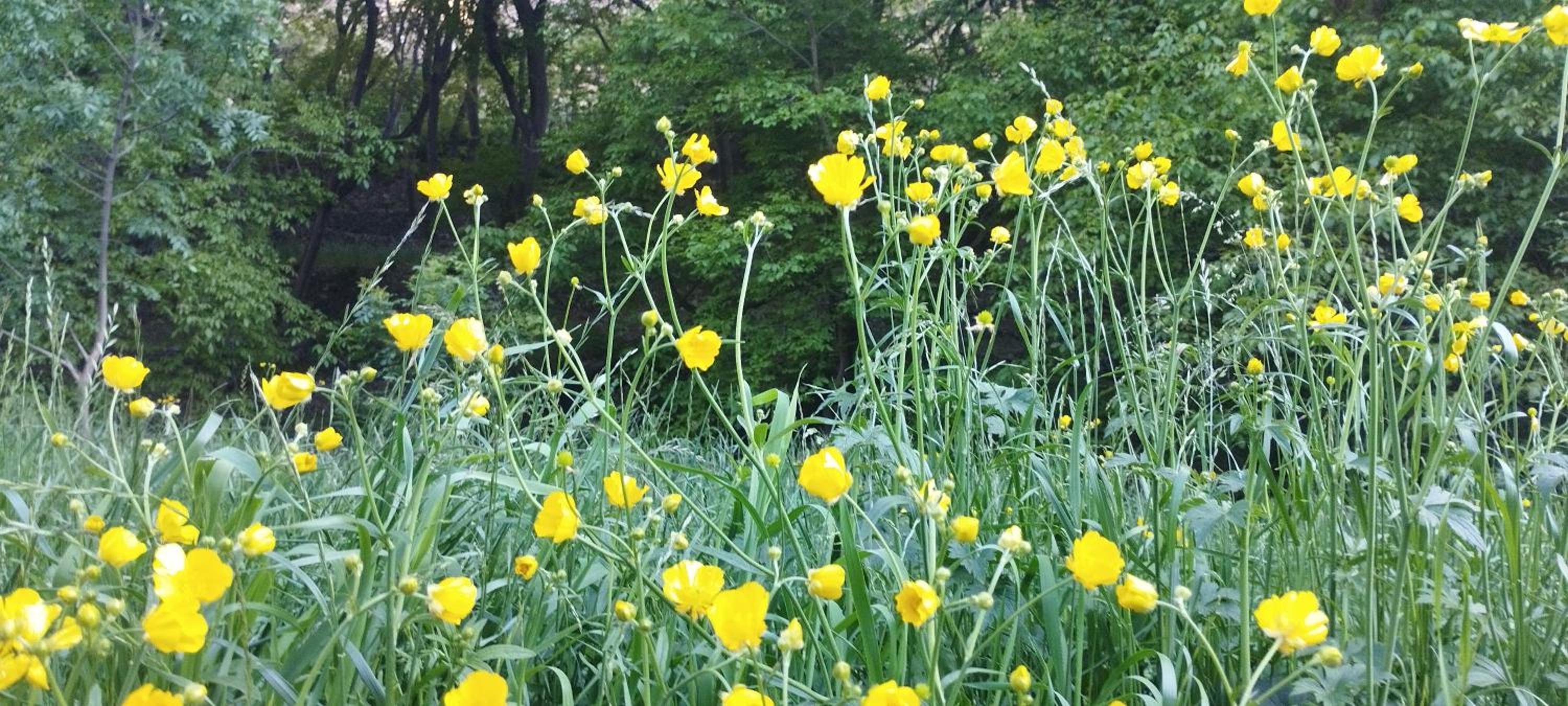 Gite akswal amssakrou