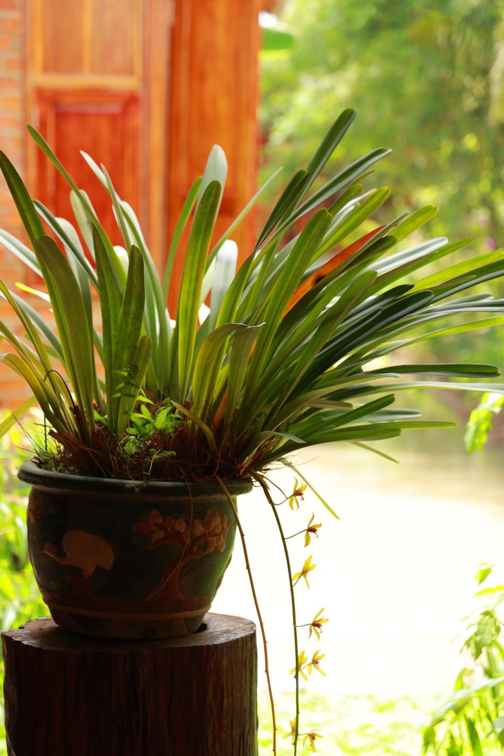 Homestay Nhà Của Gió view 4