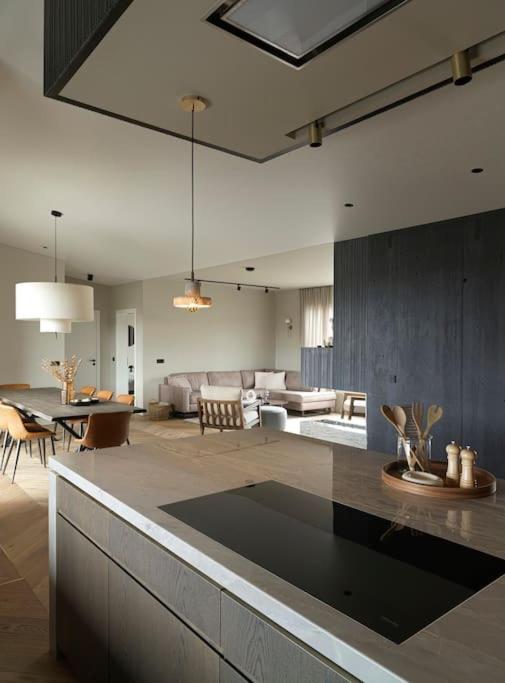 Luxury penthouse