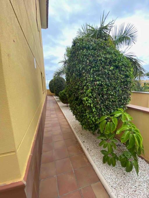 Oceanview Apartment with Garden and BBQ zone