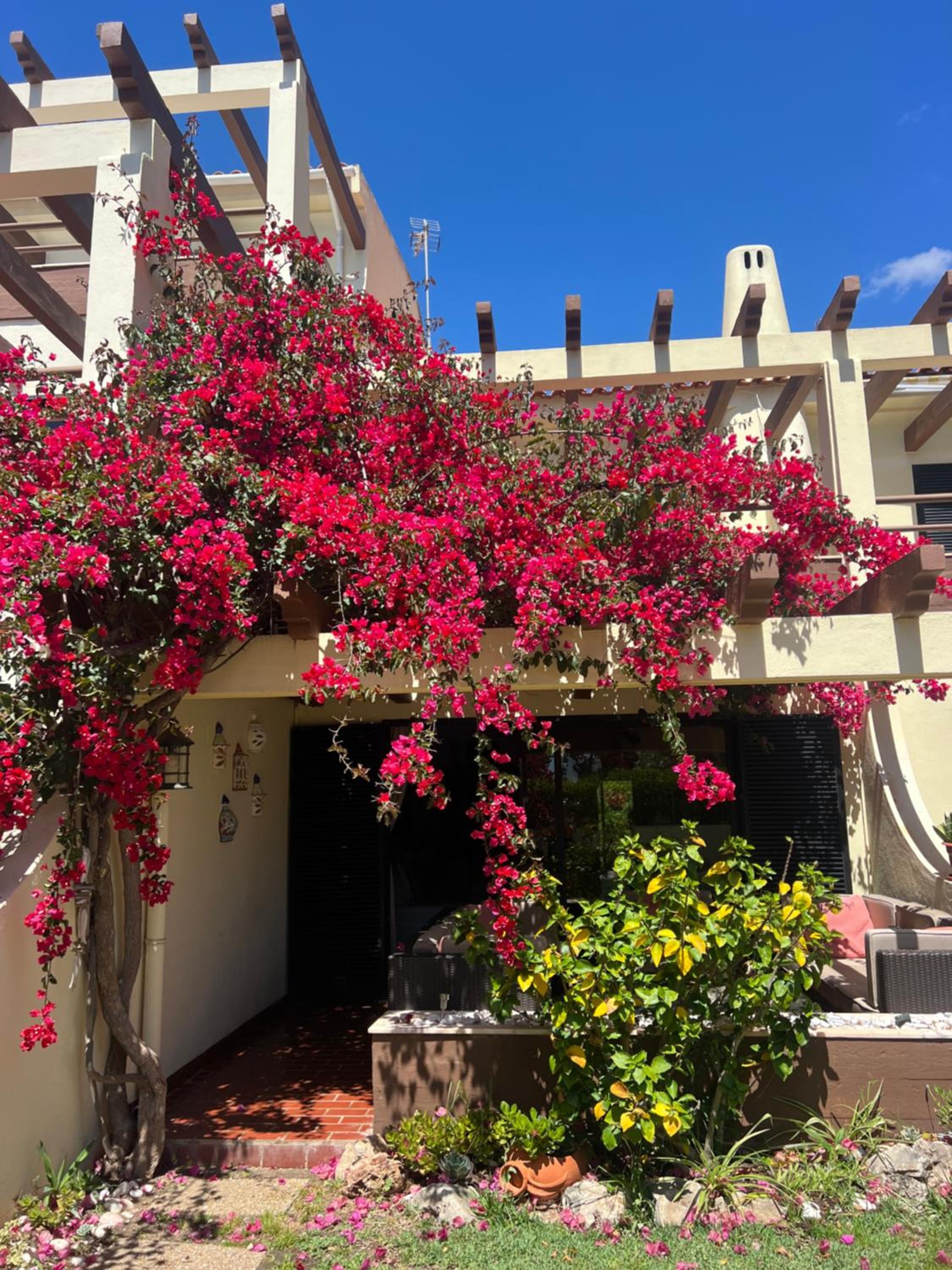 Hotel Falesia Beach Town house 2 bedroom - Image 1