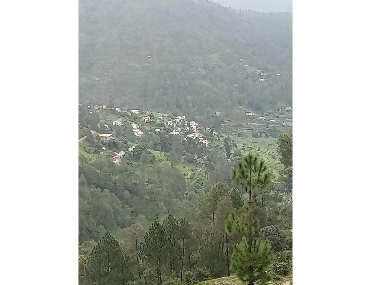 Hotel Bisht Guest House, Almora view 2