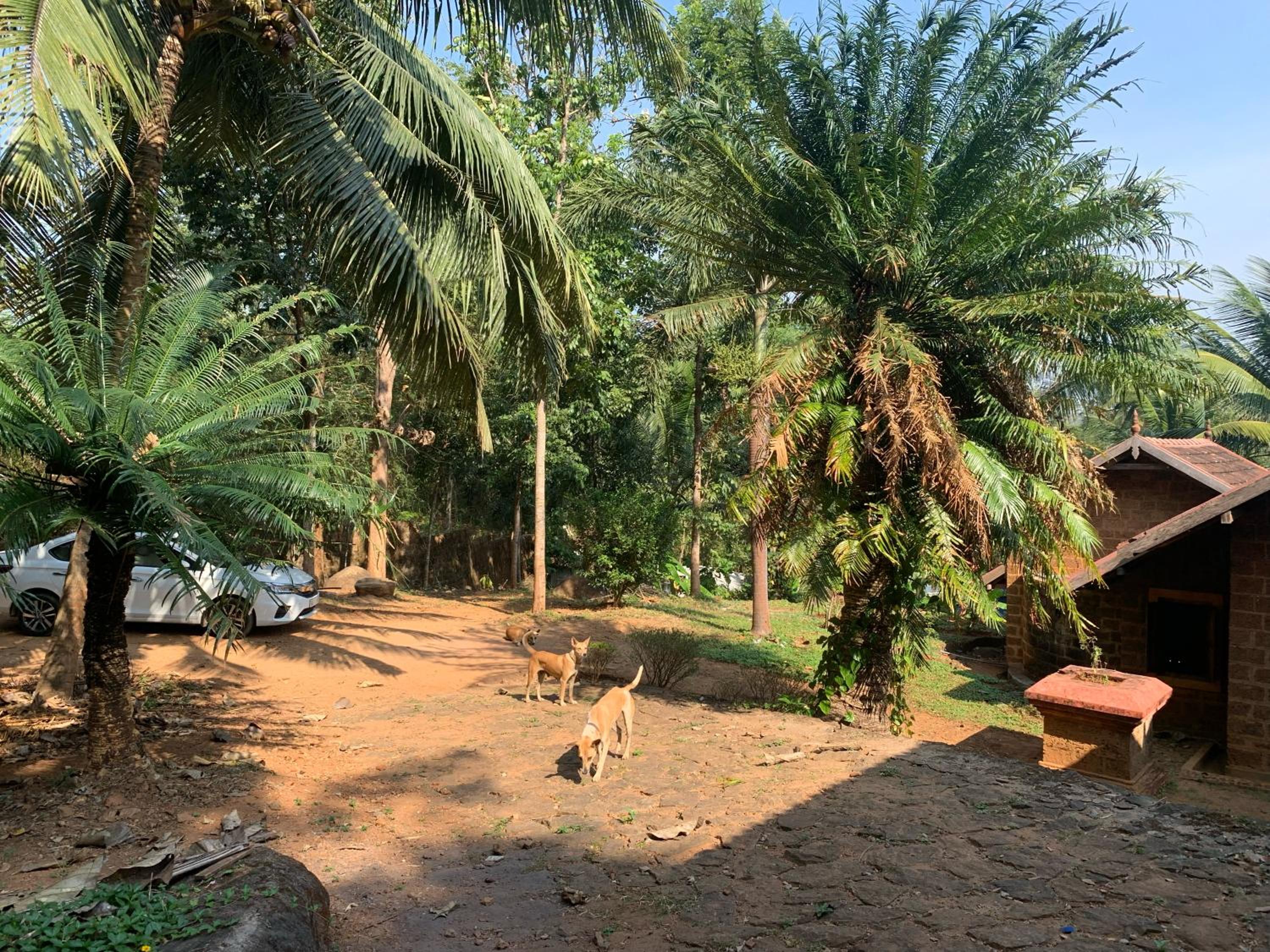 Shantam Homestay - Powered by Grackle view 4
