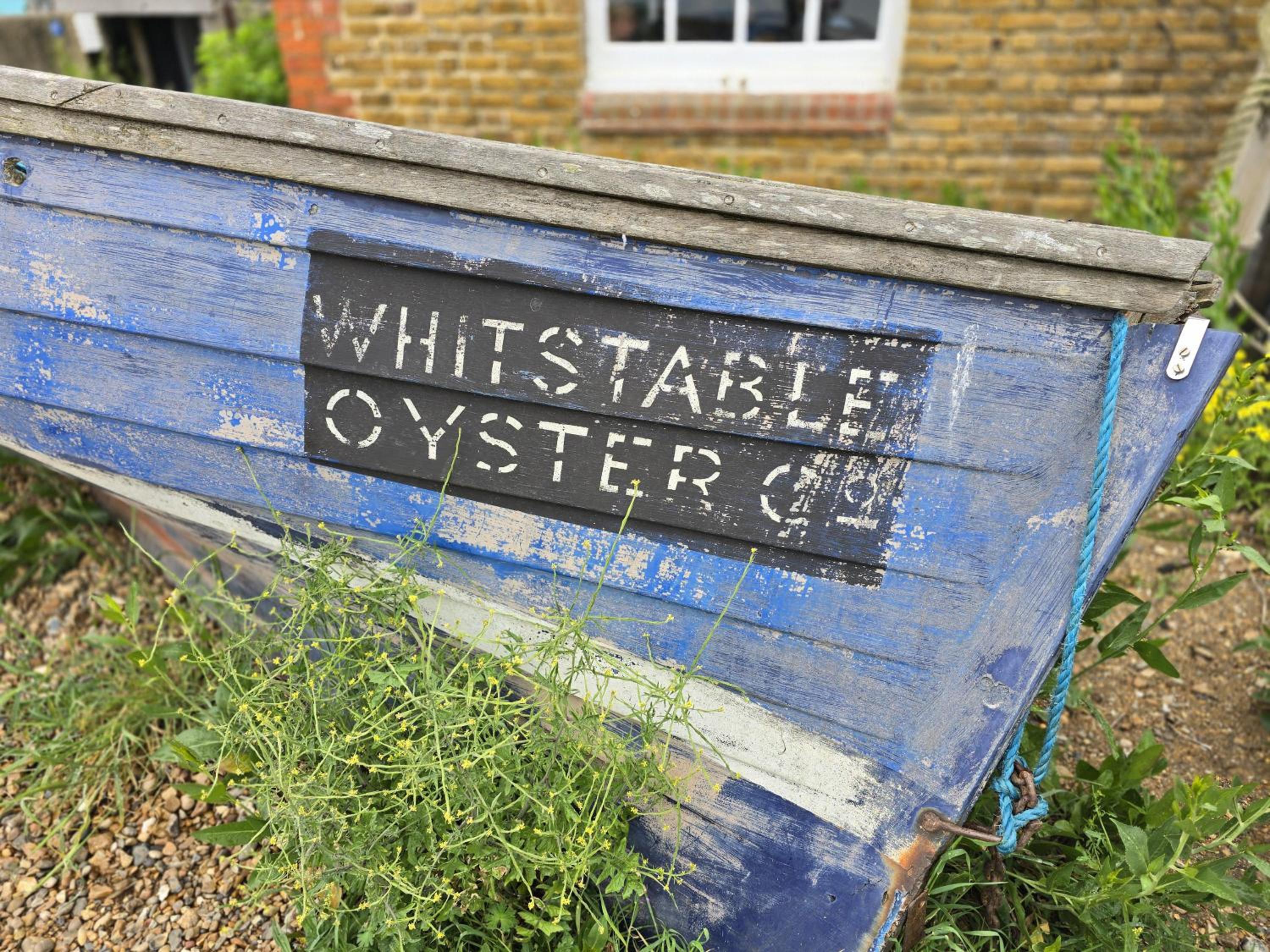 Stunning brand new 2024 Sunset Lodge Whitstable view 3