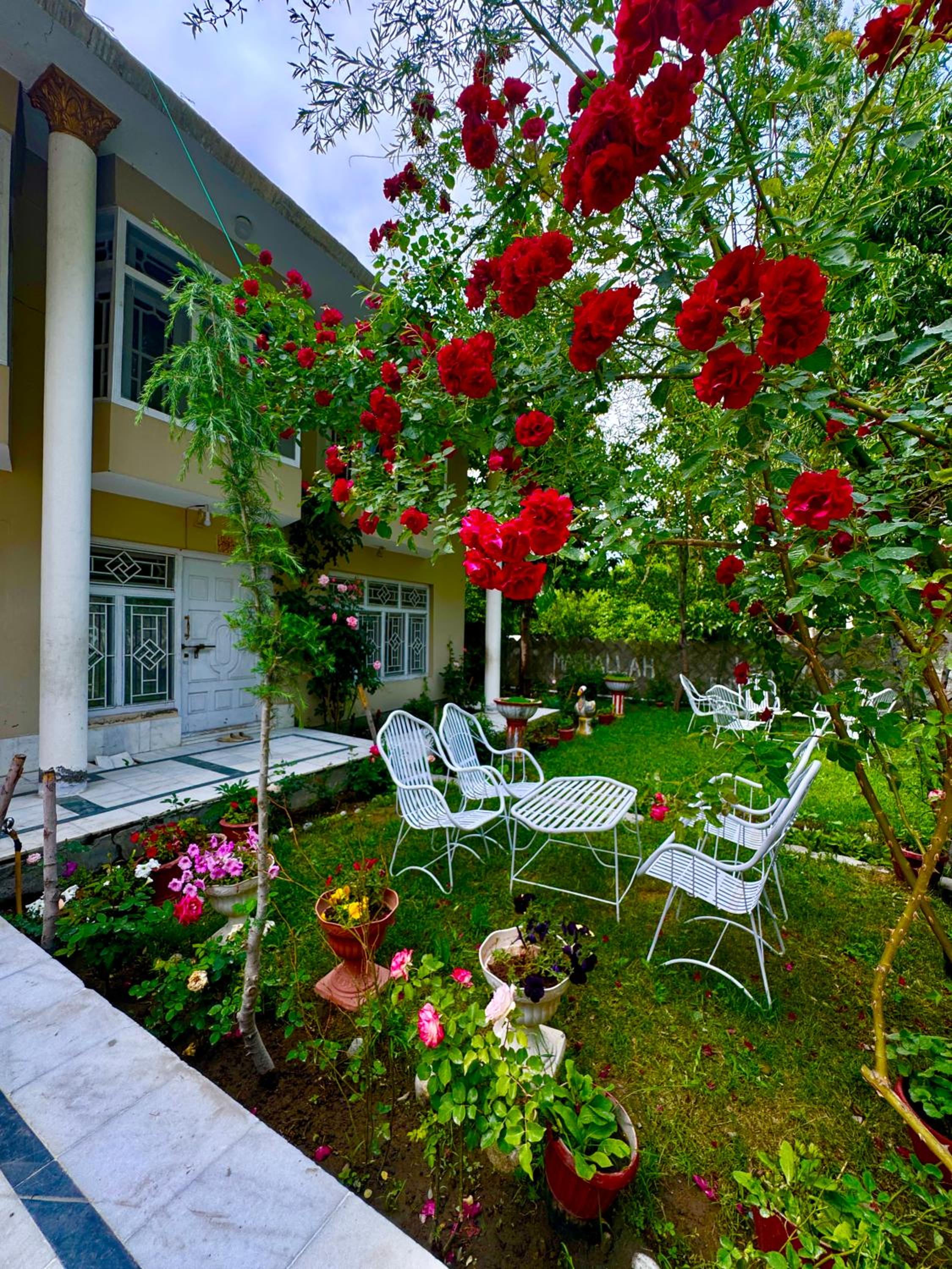 Singay Homestay