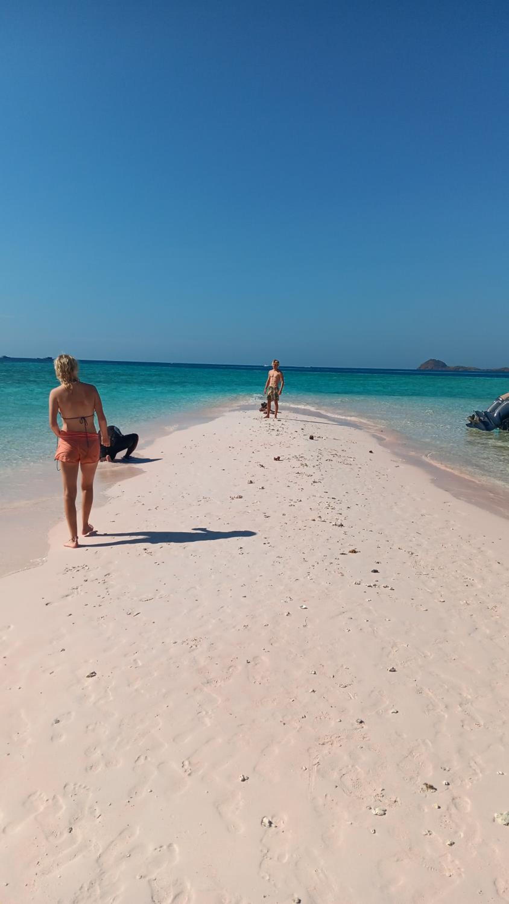 Bajo Komodo Homestay