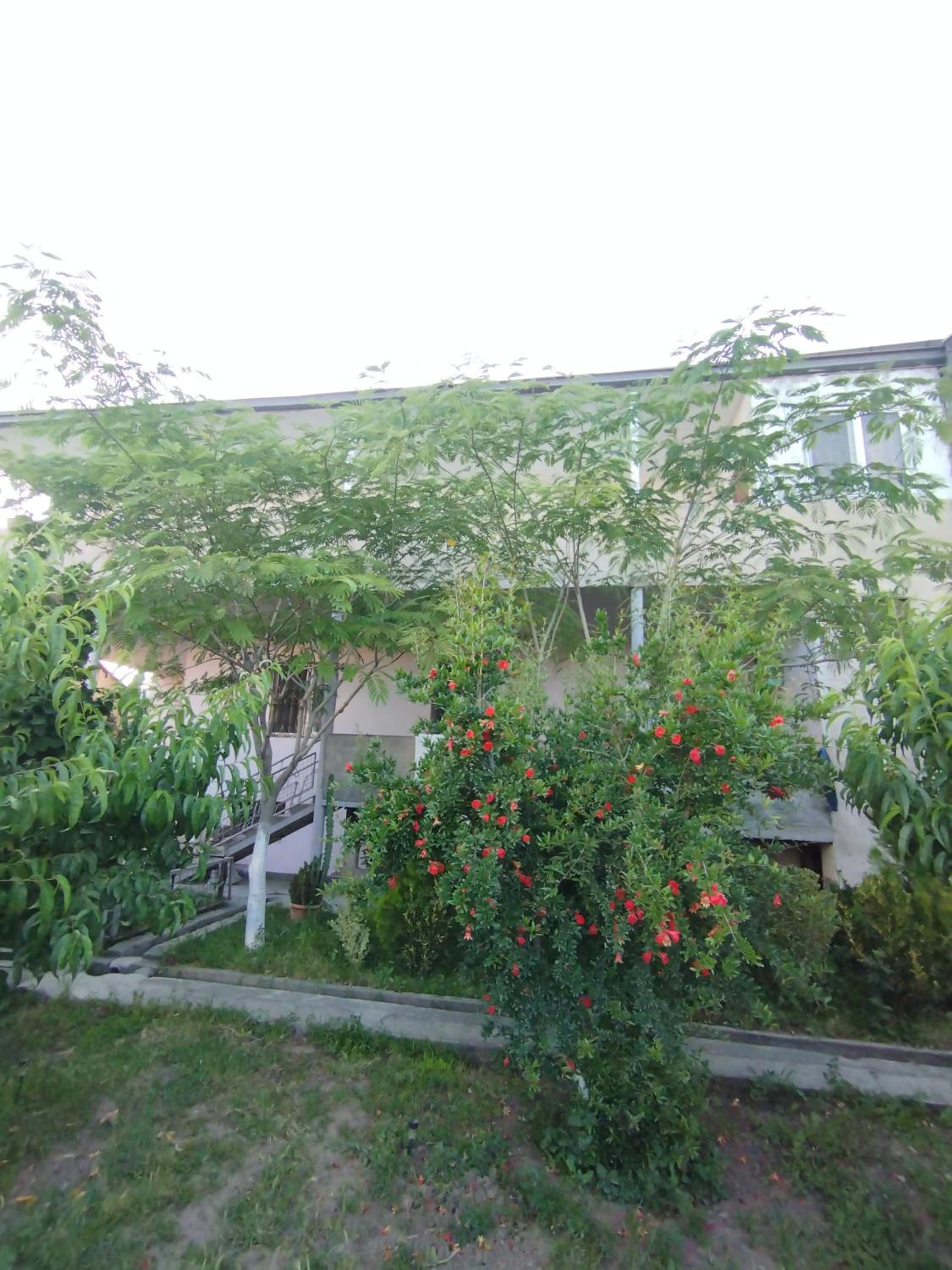 Guest house Ed&Er
