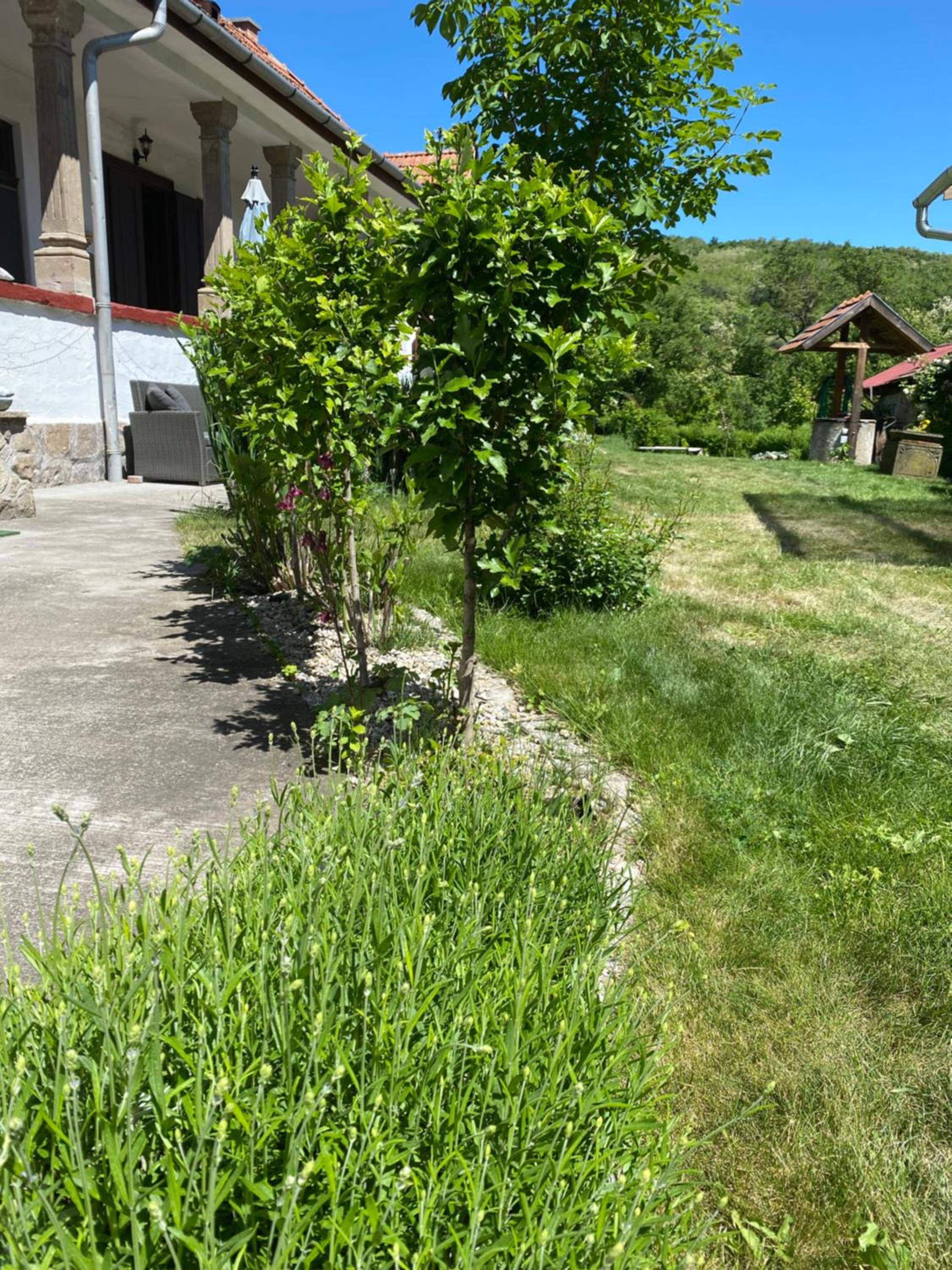 Kánya Veranda