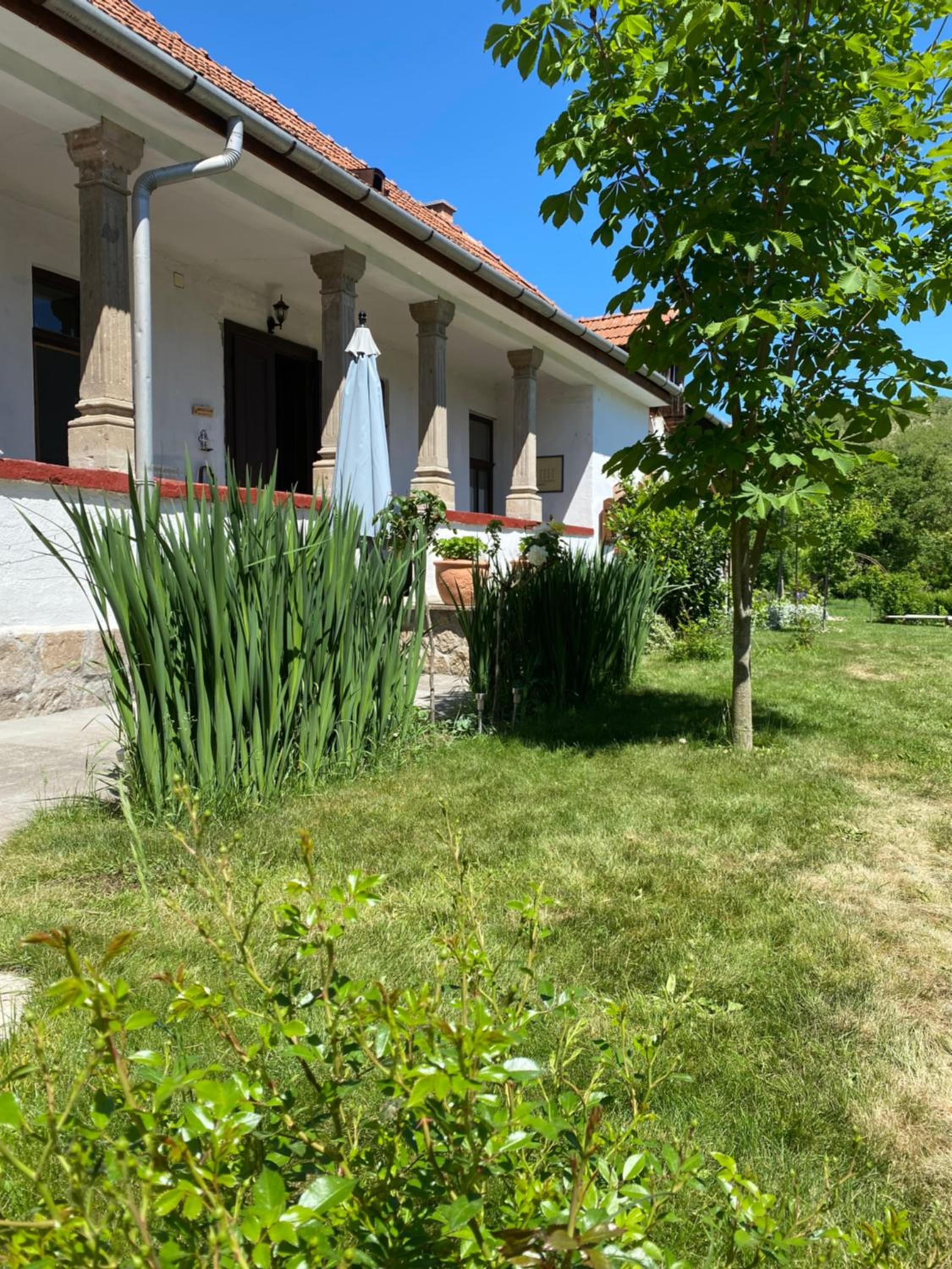 Kánya Veranda
