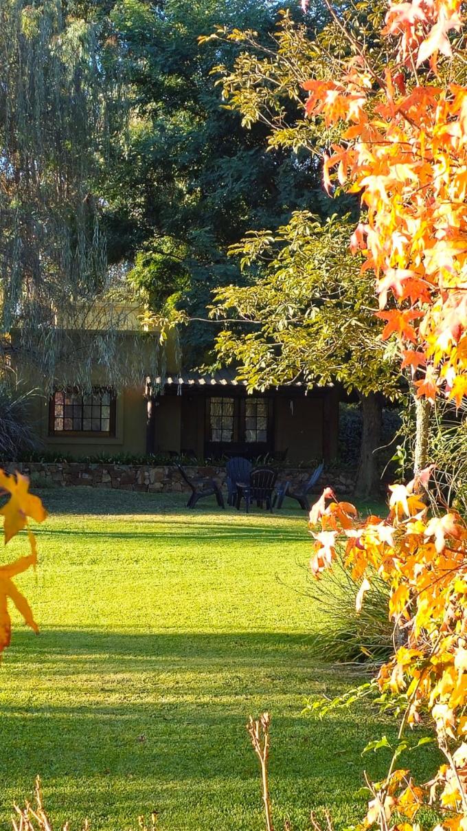 Posada del Santo Green & Rest - Cabañas