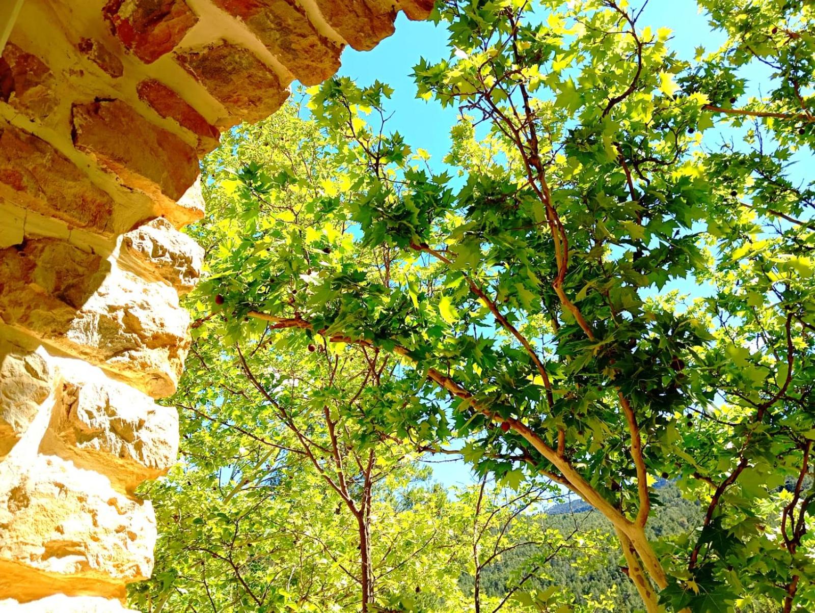 Resort El Paraíso Secreto