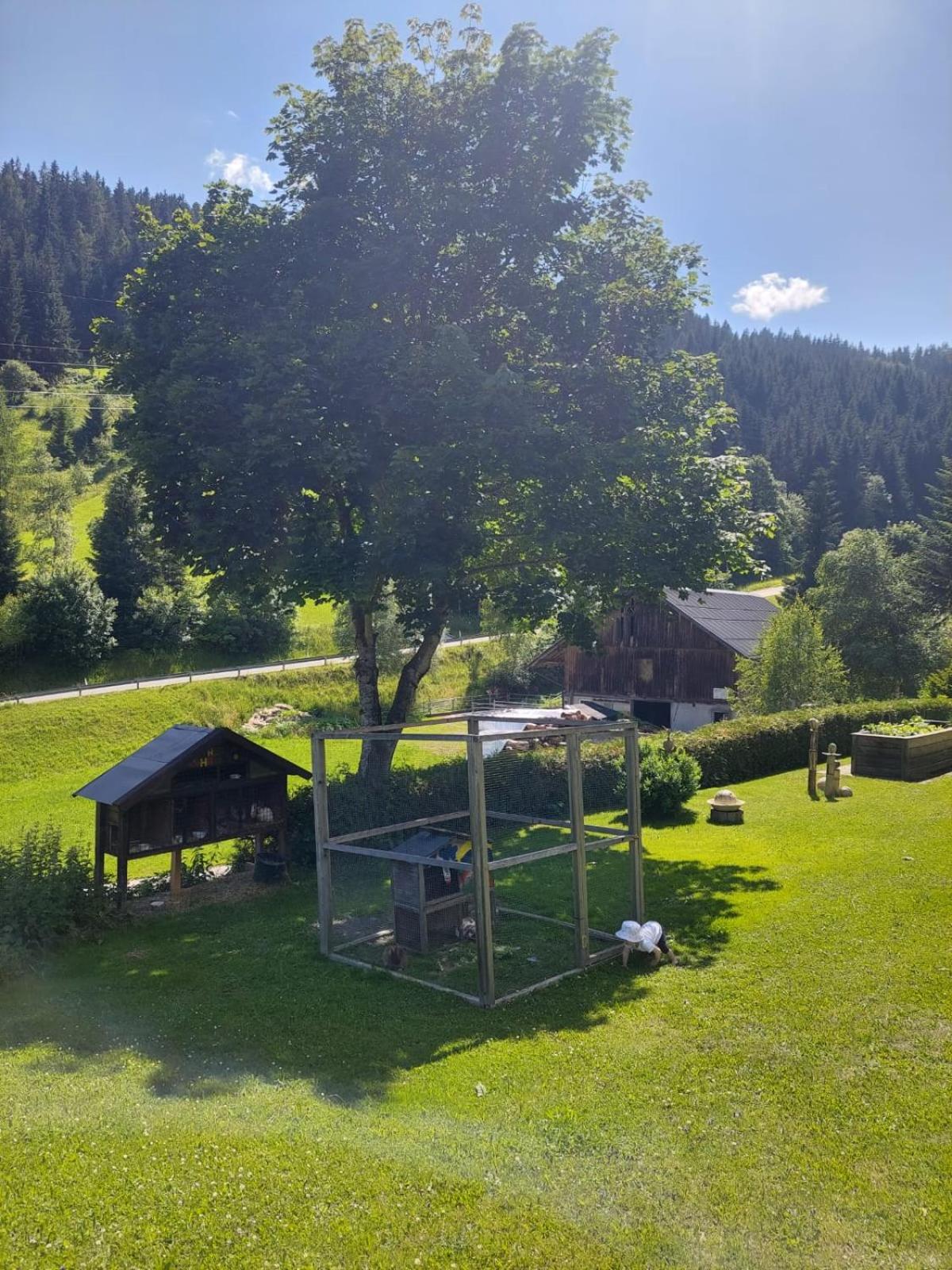 Biobauernhof Habersatter