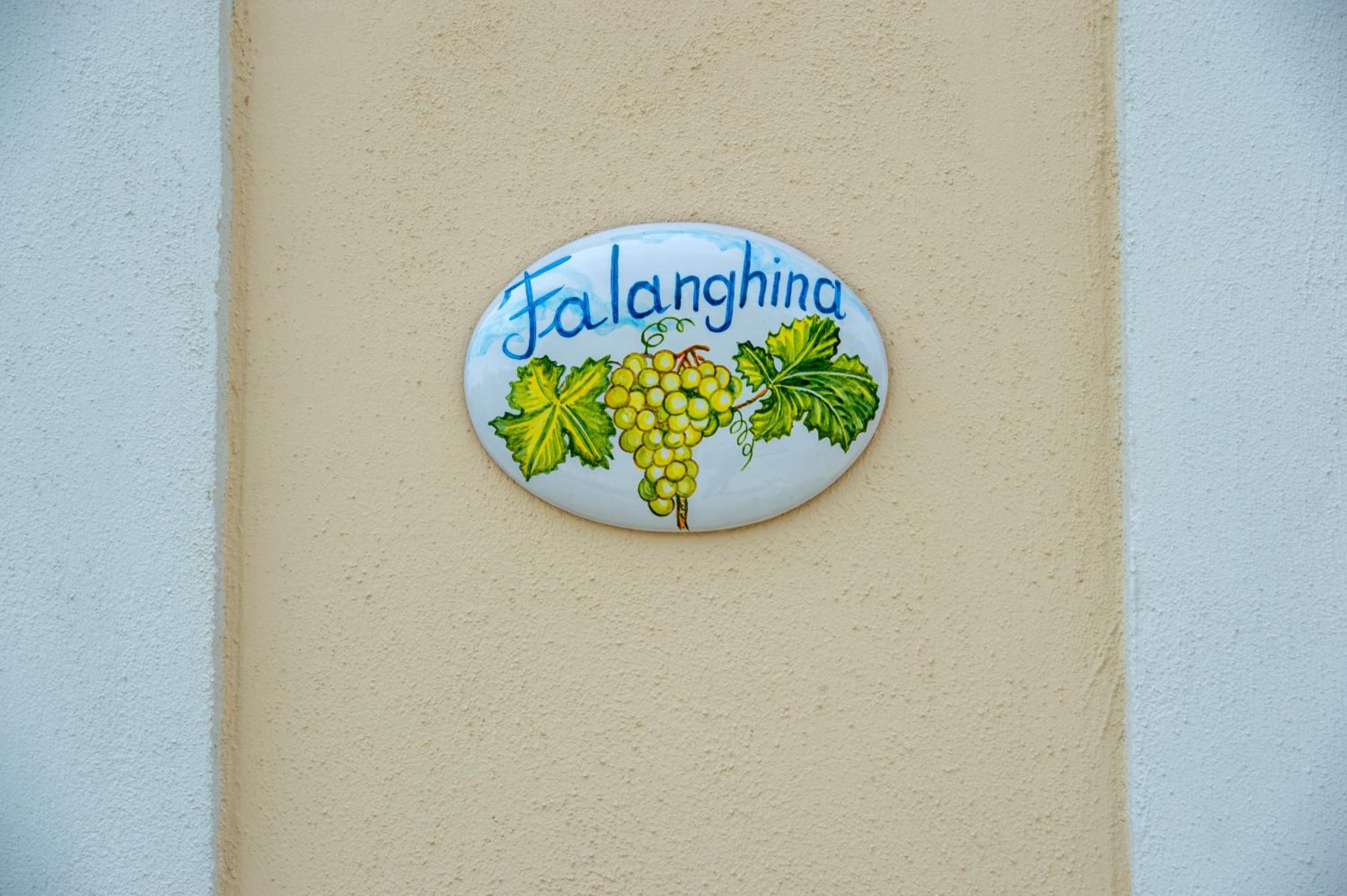 Il Vigneto di Nonno Pietro