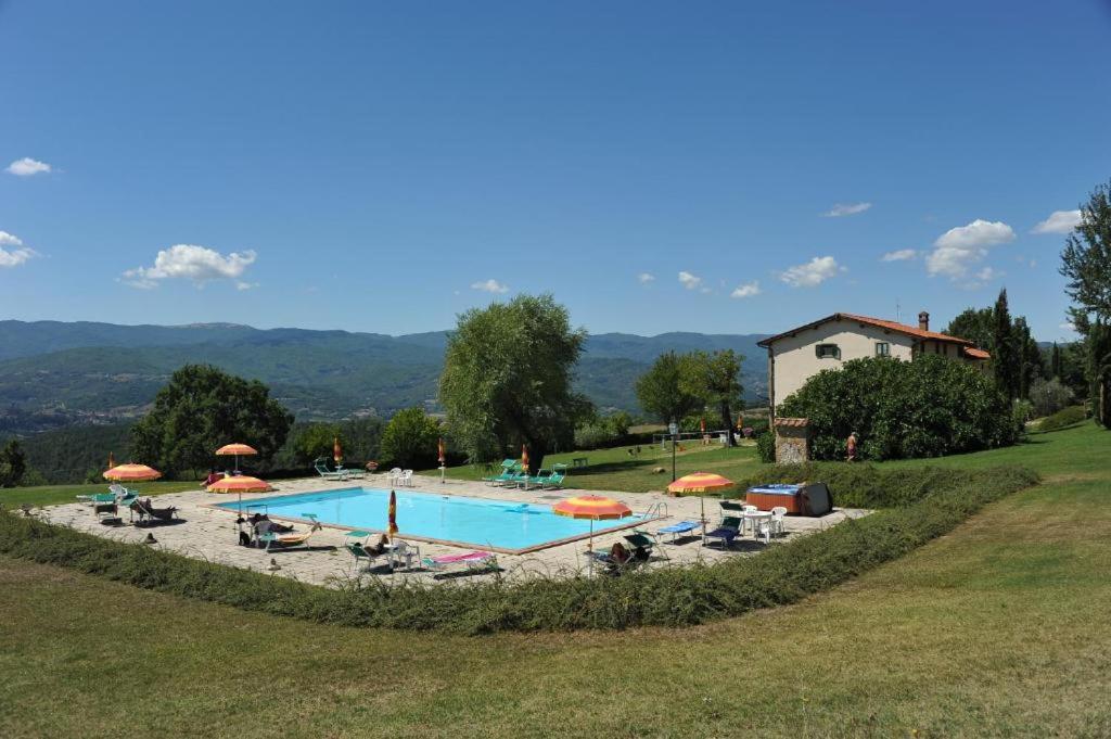 Fattoria di Belvedere