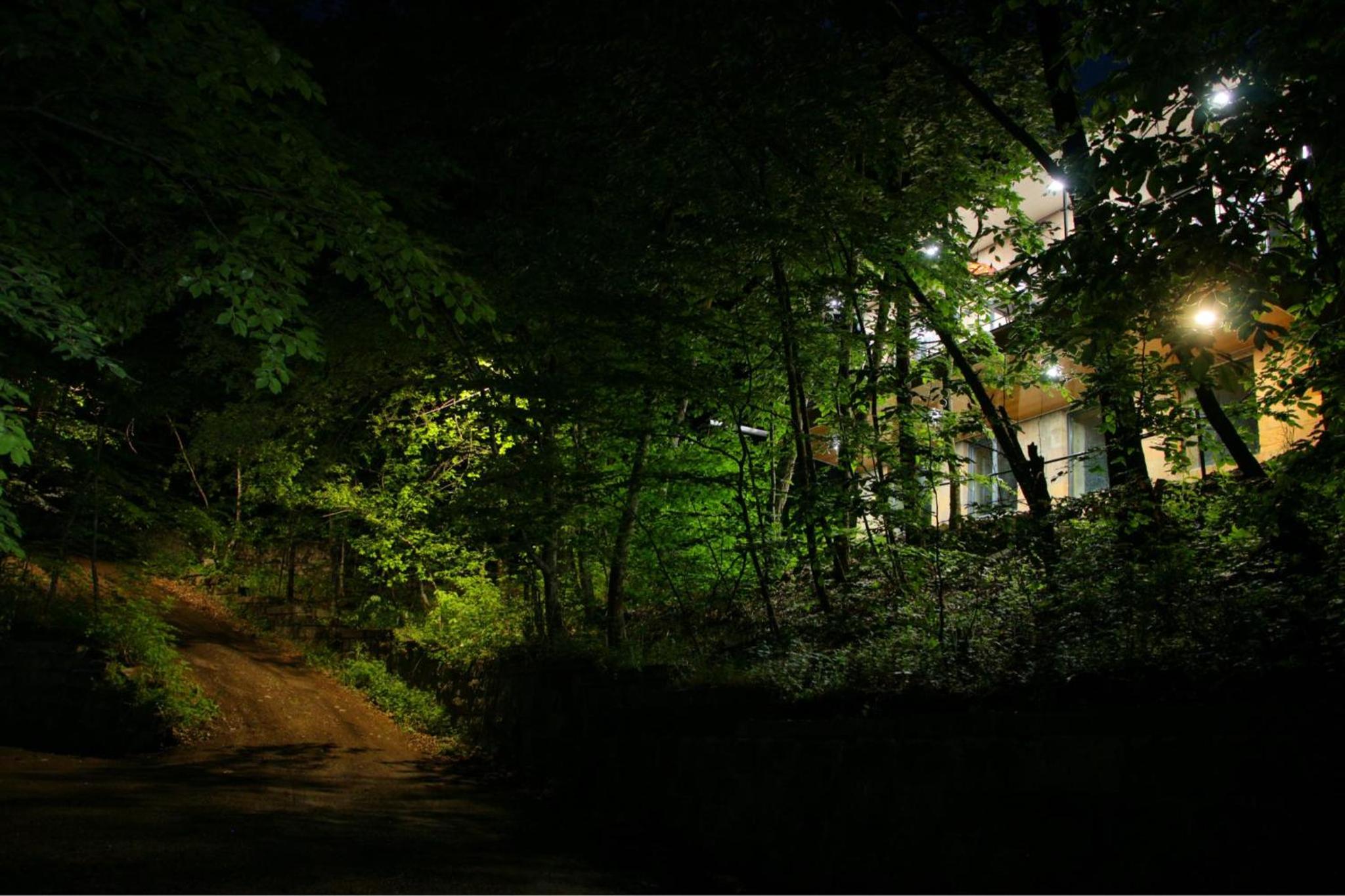 Peaceful 2 Bed I Forest Air I BBQ I Private I Cozy