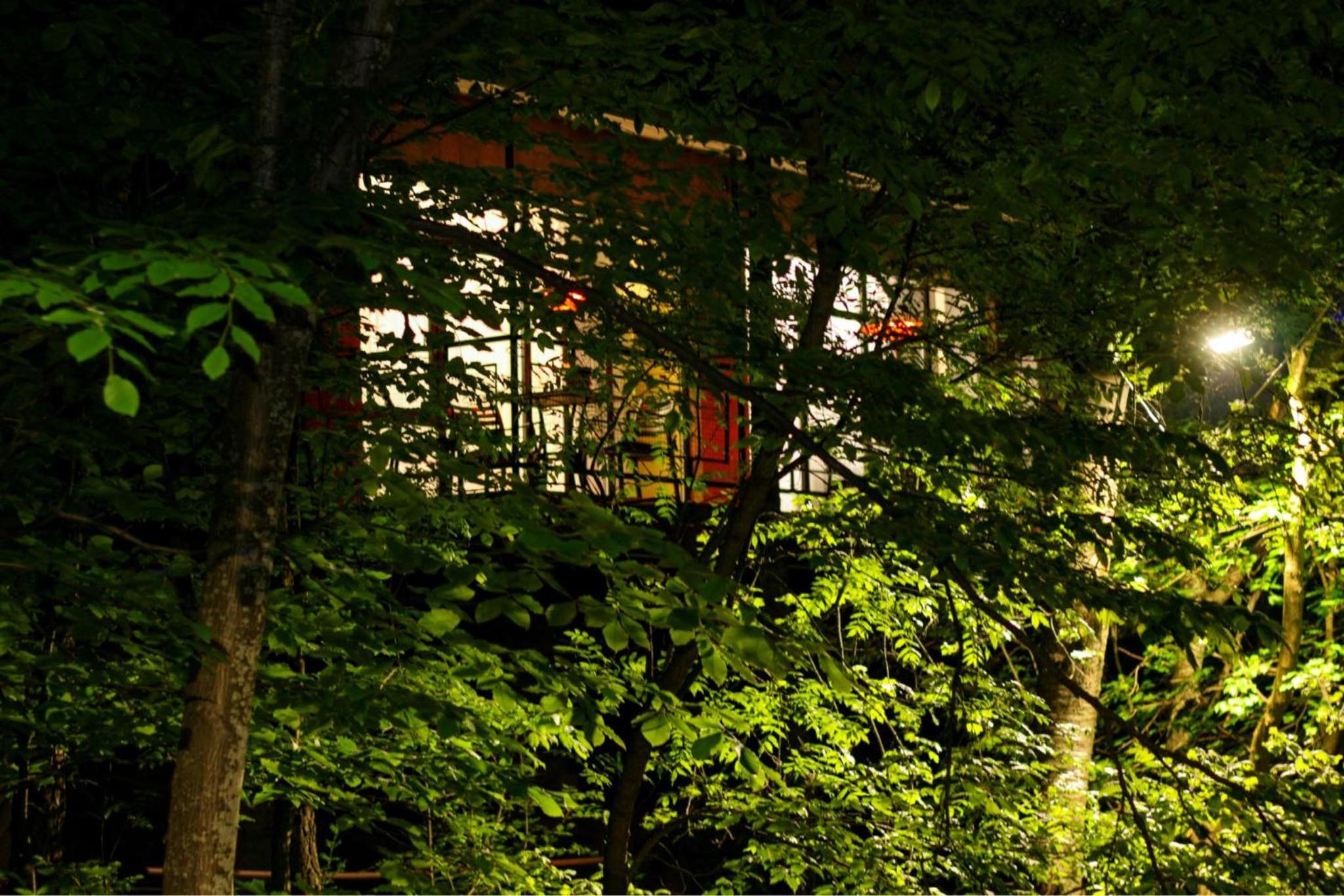 Peaceful 2 Bed I Forest Air I BBQ I Private I Cozy