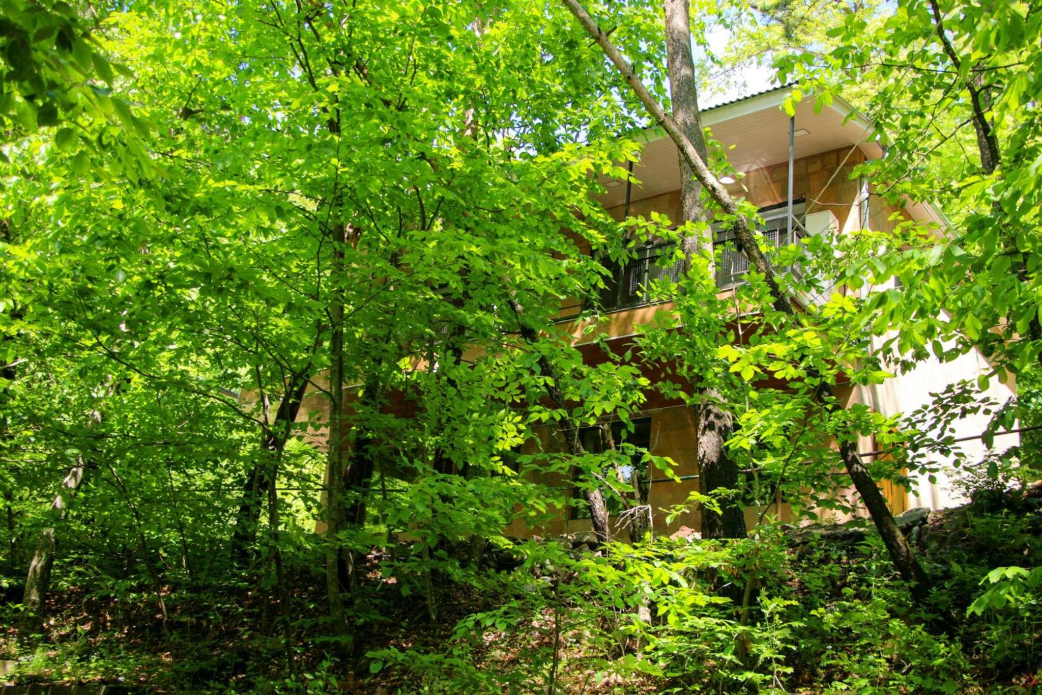 Peaceful 2 Bed I Forest Air I BBQ I Private I Cozy
