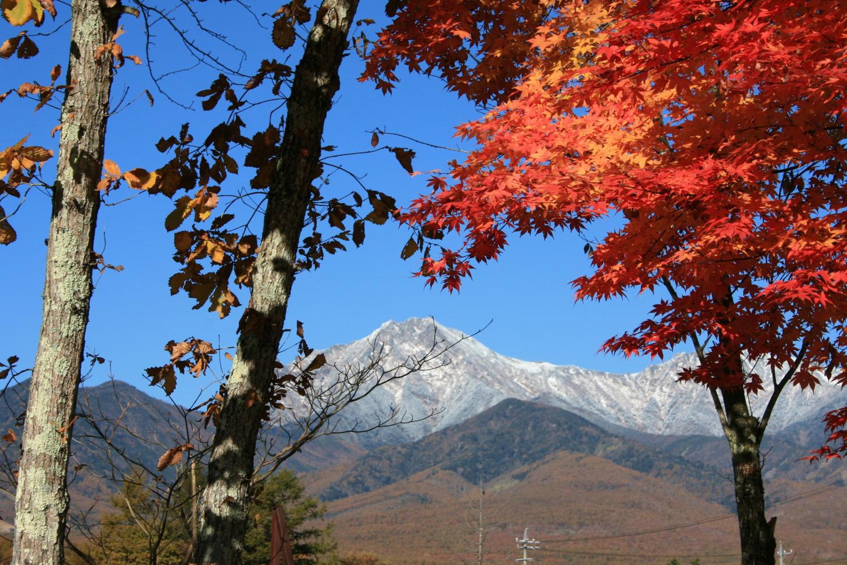 Yatsugatake Grace Hotel