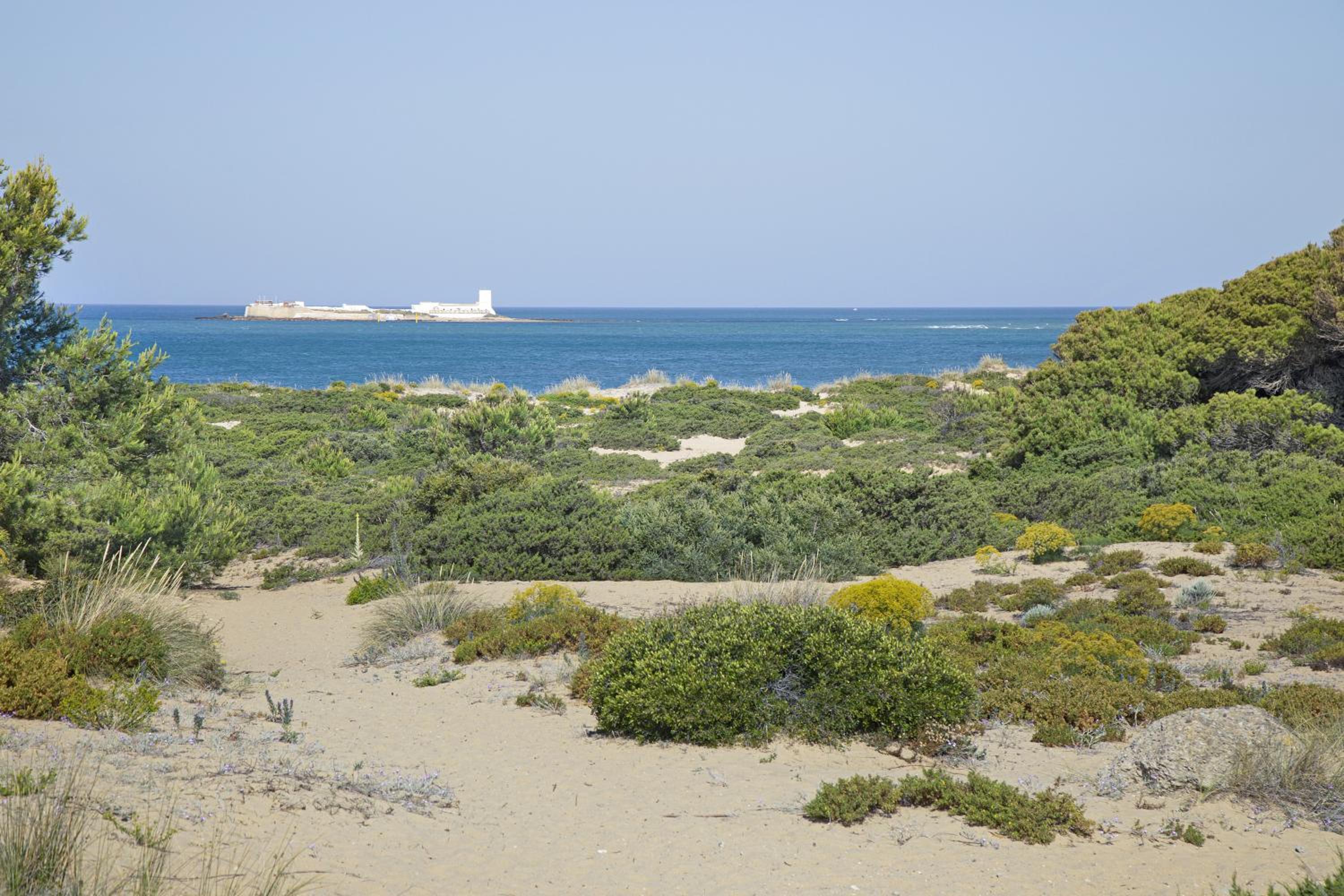 Apartamento El Marinero