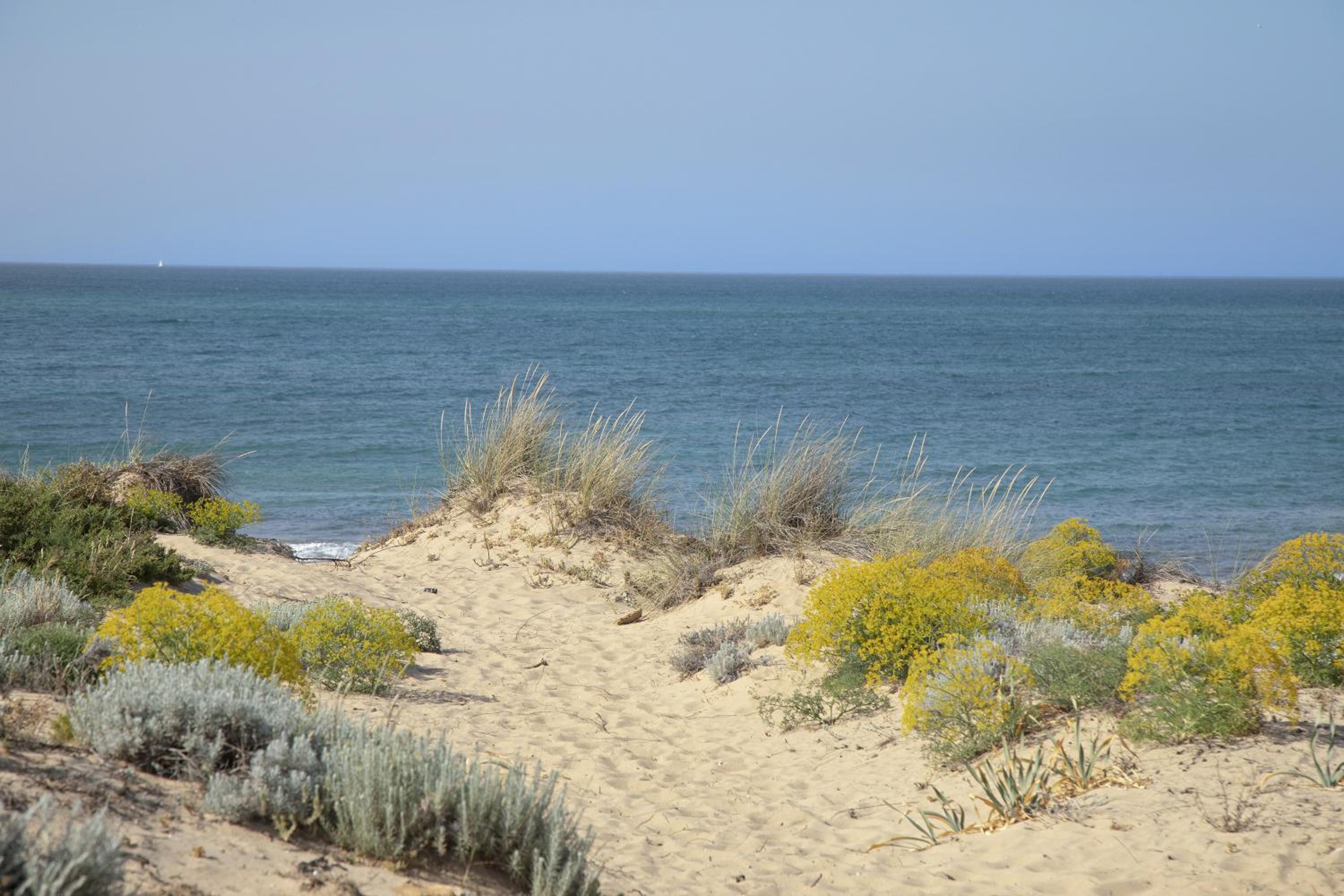 Apartamento El Marinero