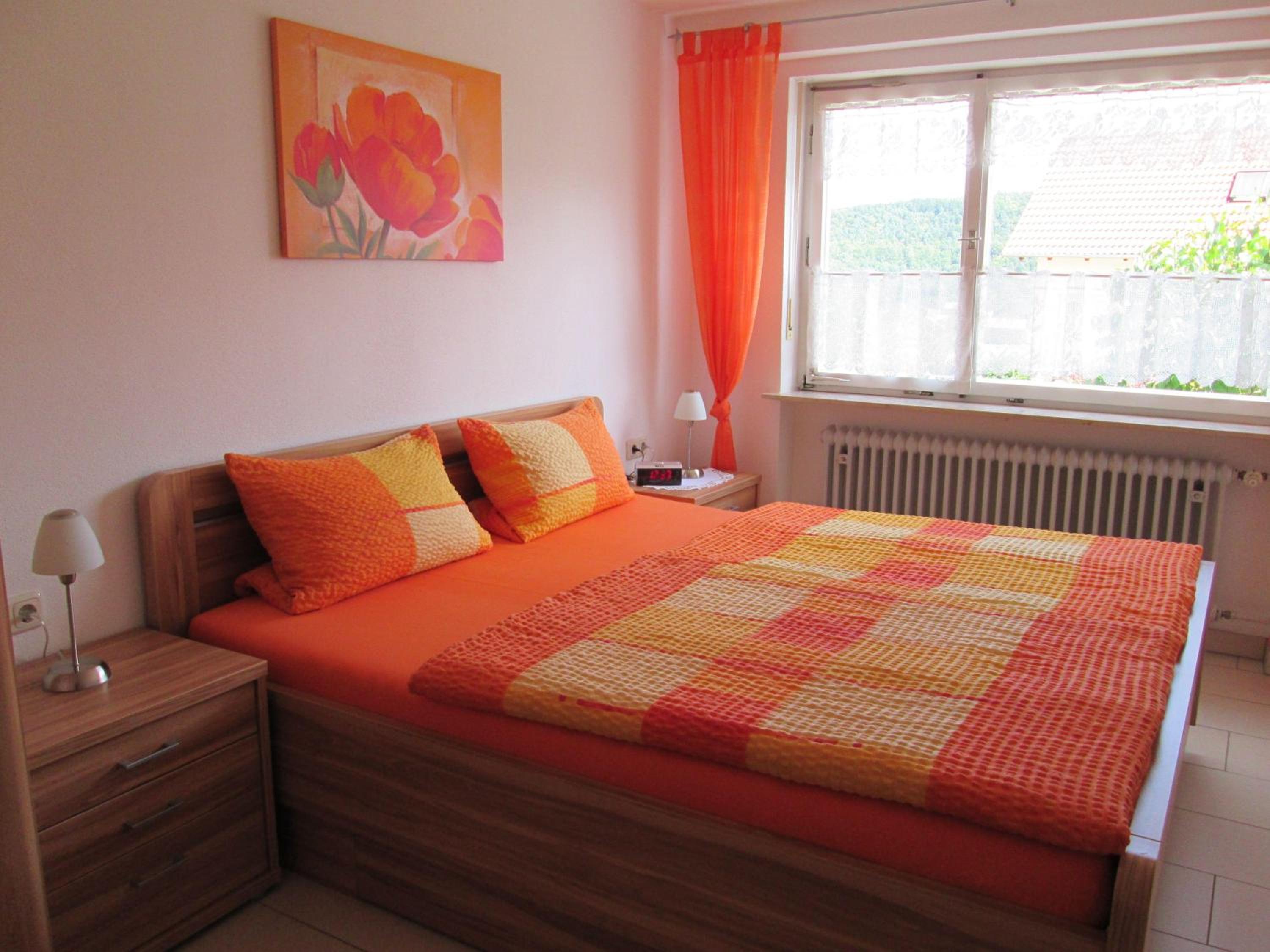 Ferienwohnung-STREUTALBLICK