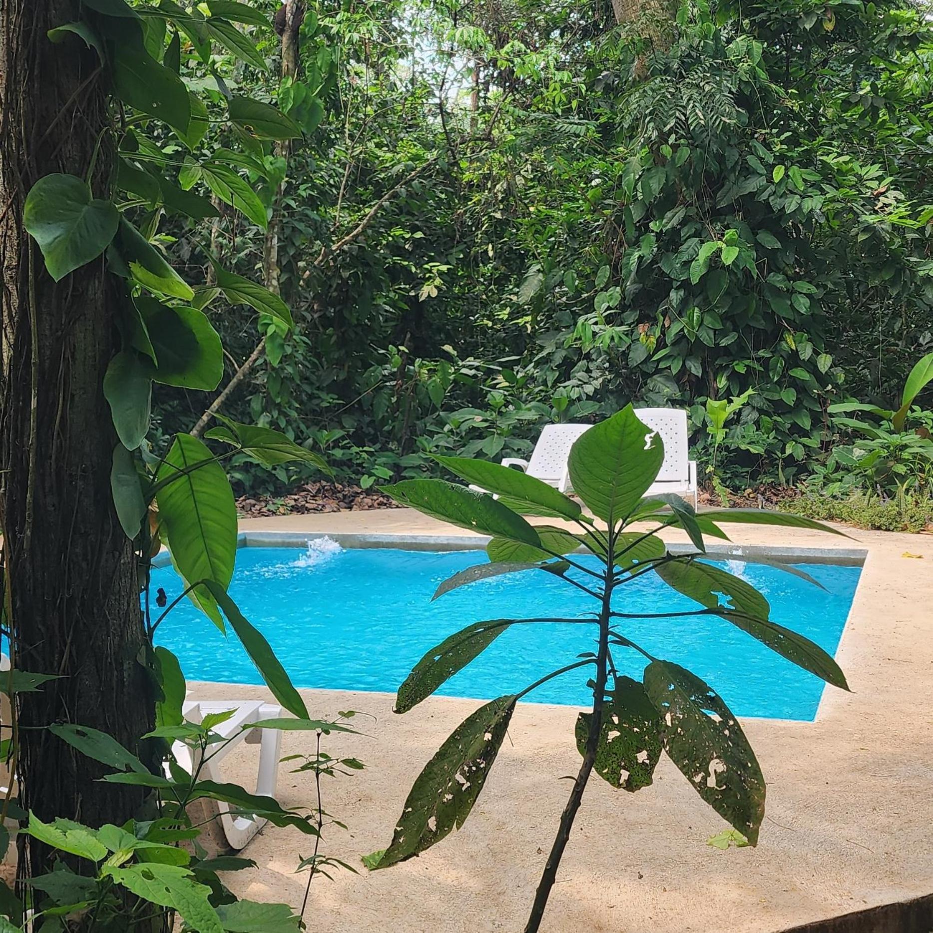 Peaceful Jungle Villa Cooper - Pool & Parking for 2 persons
