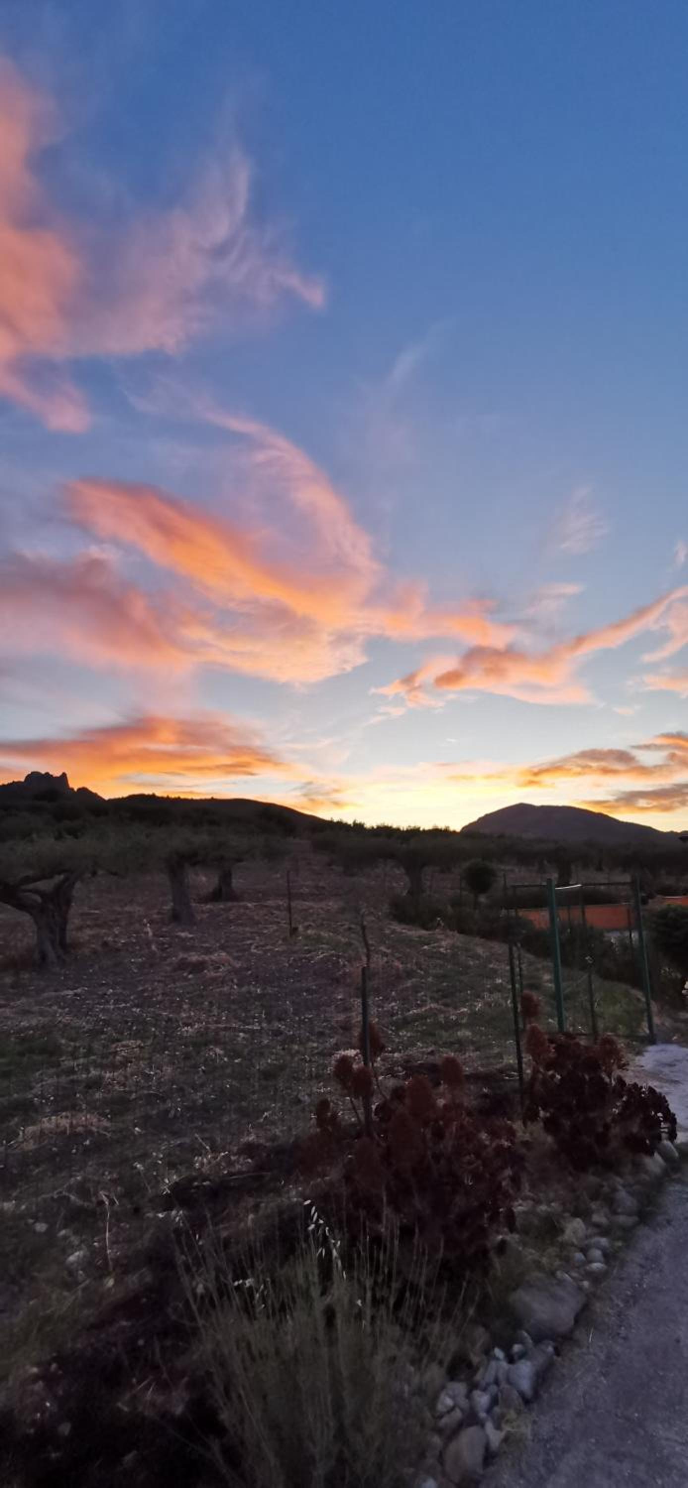 Casa L'ulivo Burgio Nature view
