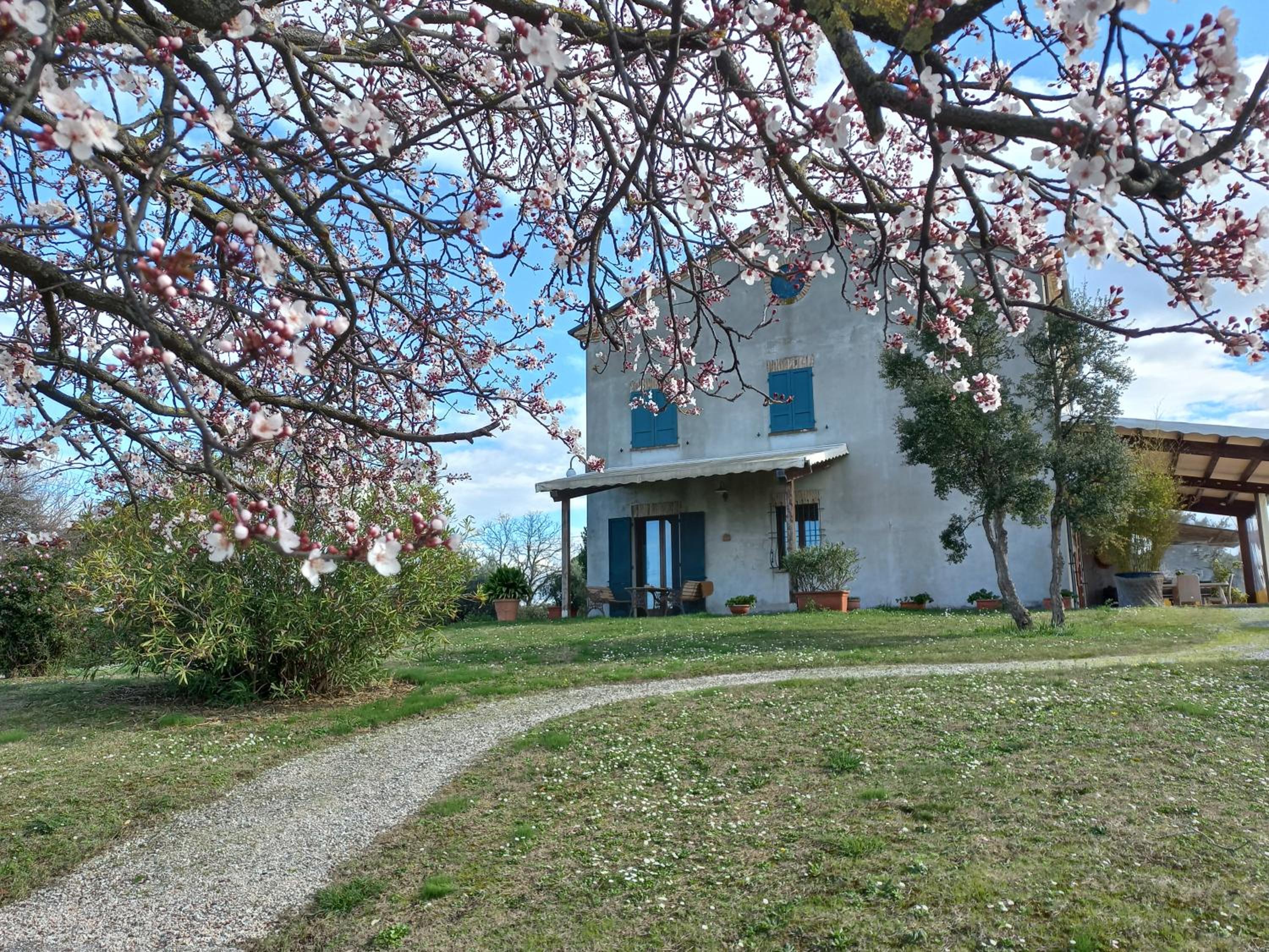 Ettaro Verde studio apartment for holidays view 3