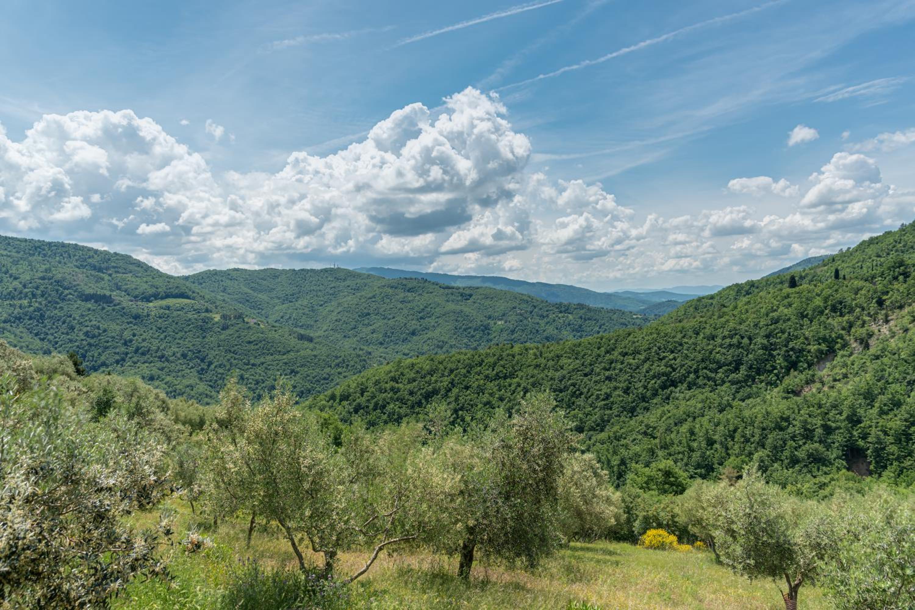 La Casa di Colle view 3