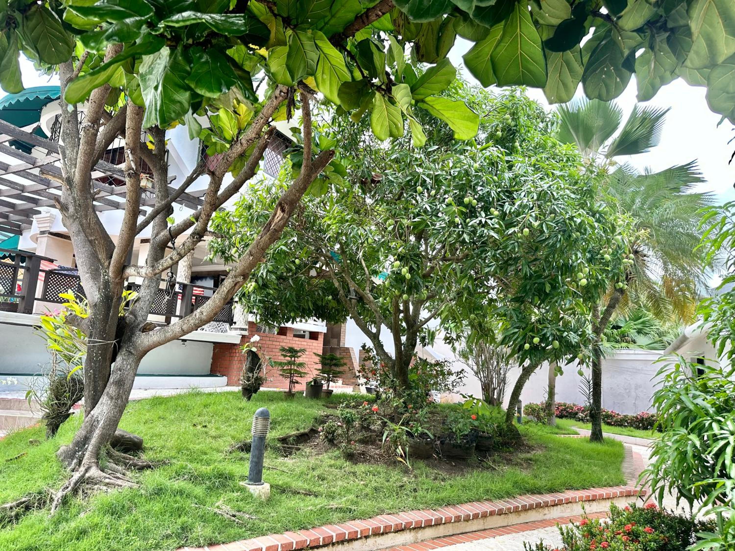 Mia casa alameda