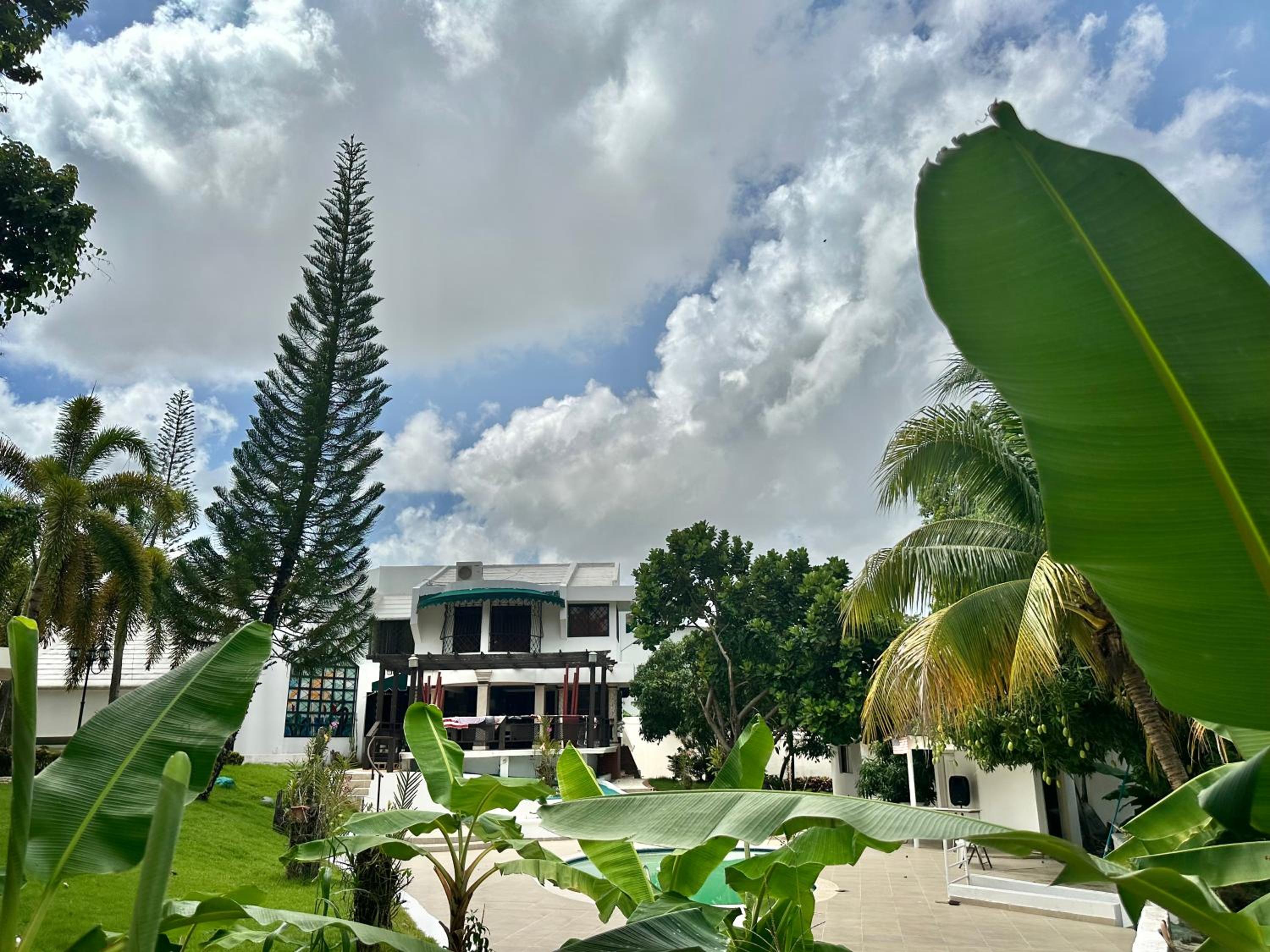 Mia casa alameda