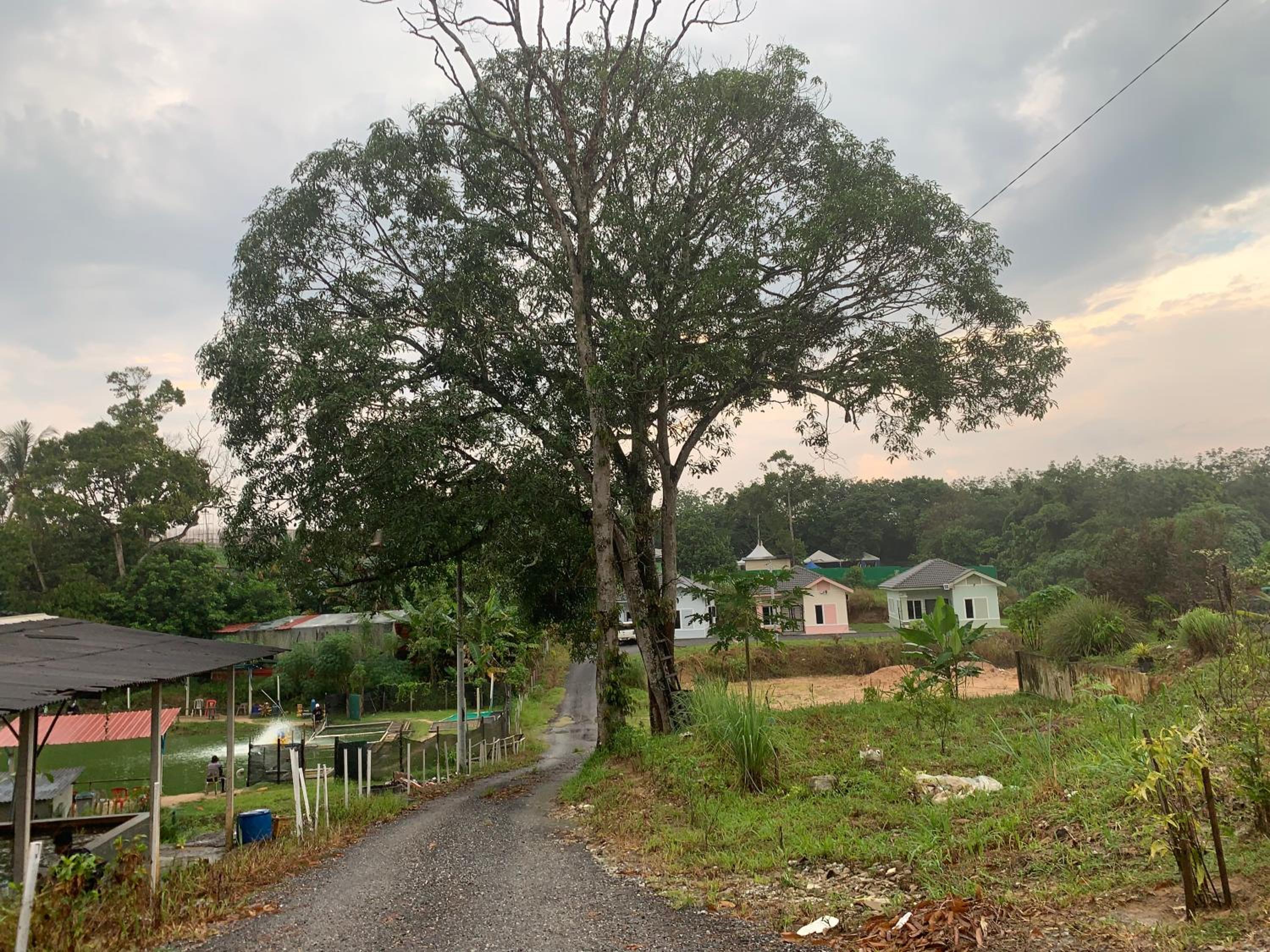 Homestay Dalilah Islam Sendayan